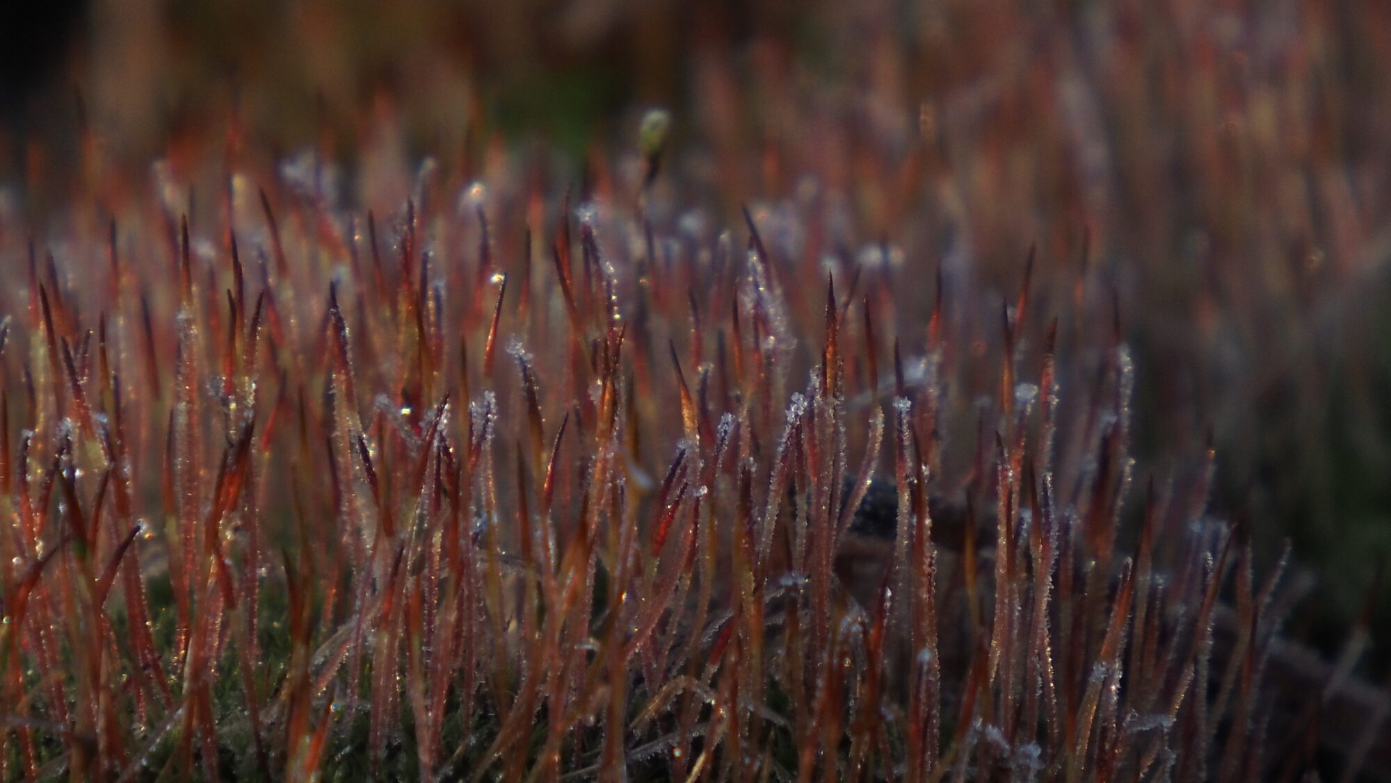 Valokuvaaja: Arja Valtonen