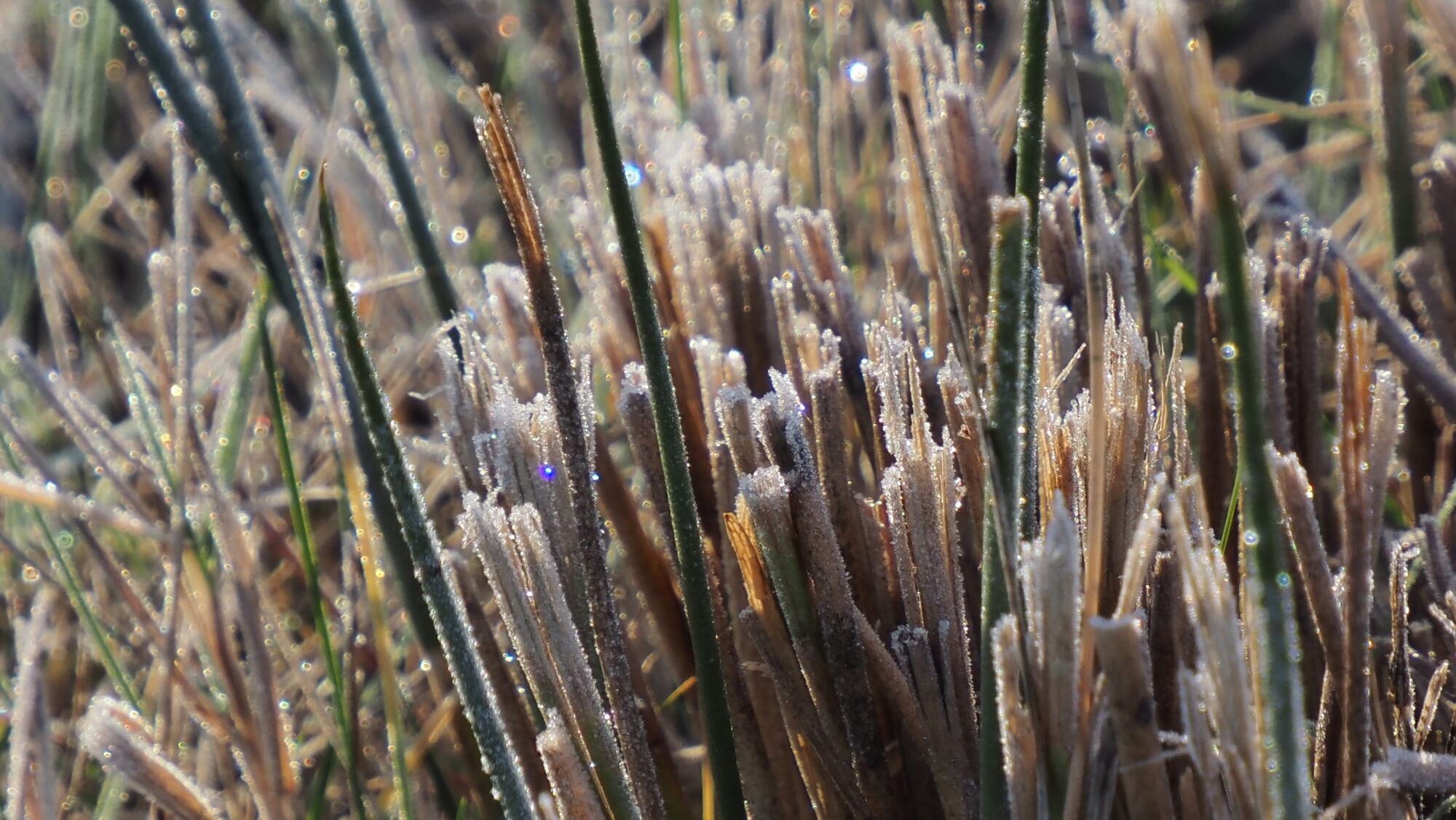 Valokuvaaja: Arja Valtonen