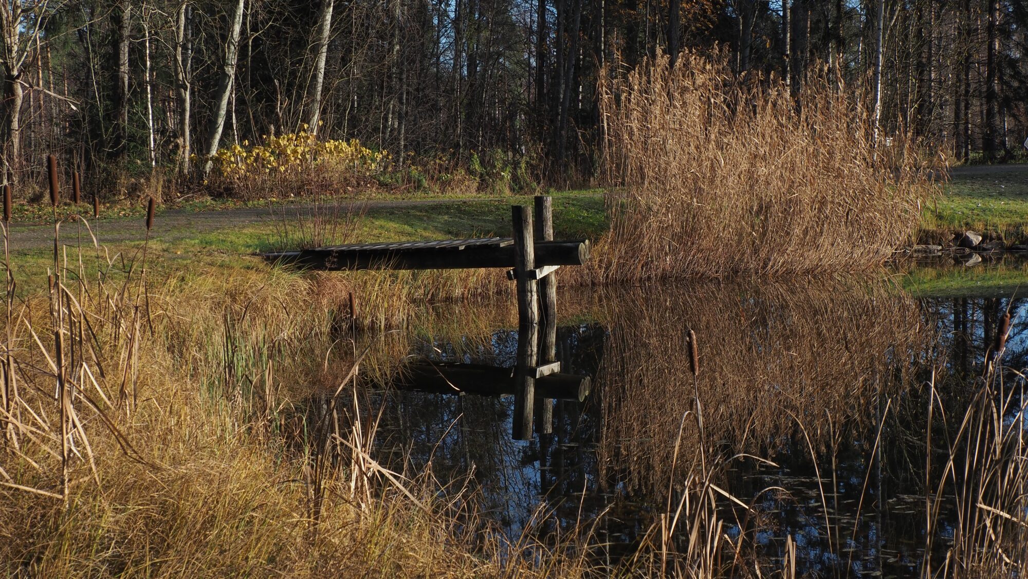 Valokuvaaja: Arja Valtonen