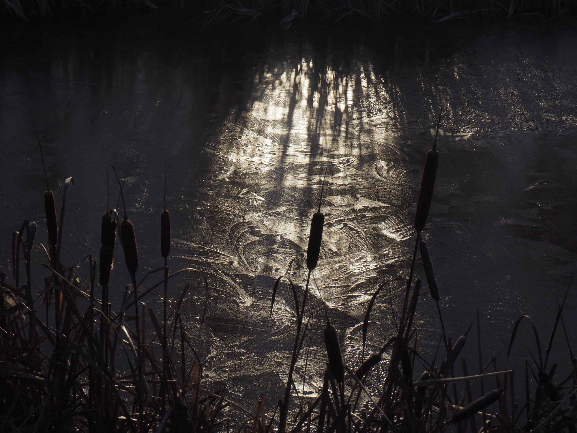Valokuvaaja: Martti Valtonen