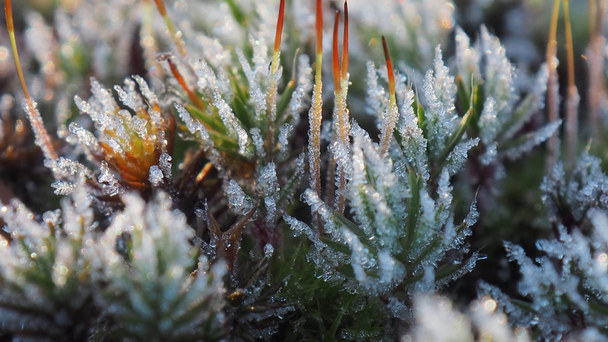 Valokuvaaja: Martti Valtonen