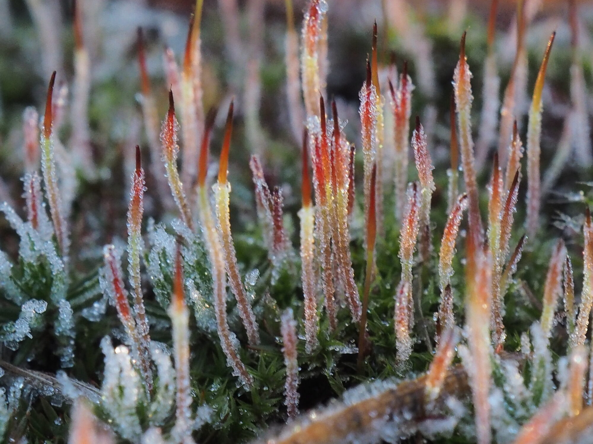 Valokuvaaja: Martti Valtonen