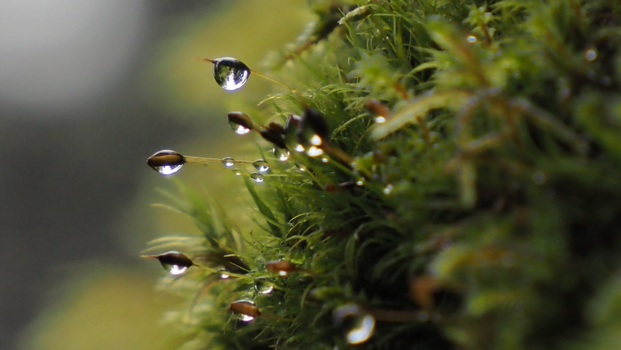 Valokuvaaja: Arja Valtonen