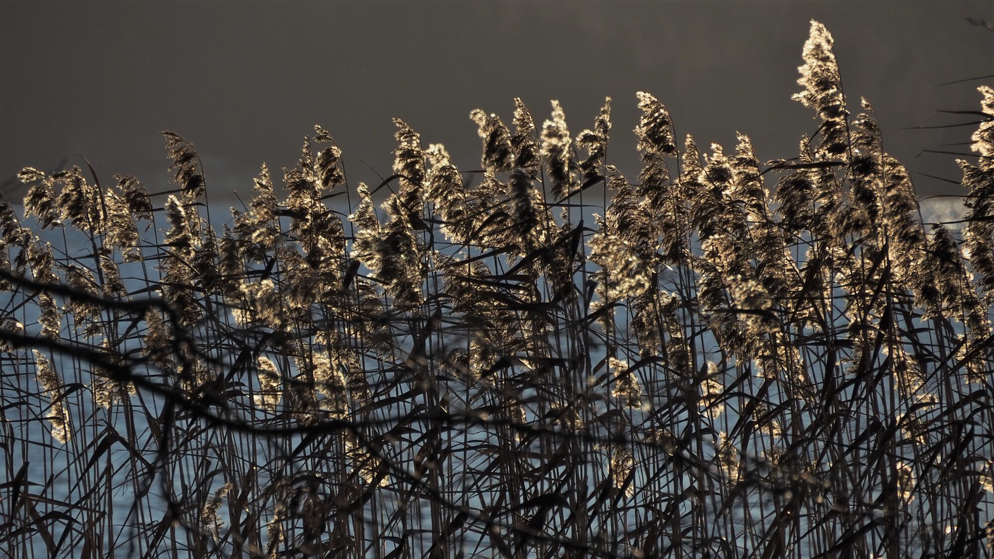 Valokuvaaja: Martti Valtonen Valokuvaaja: Martti Valtonen
