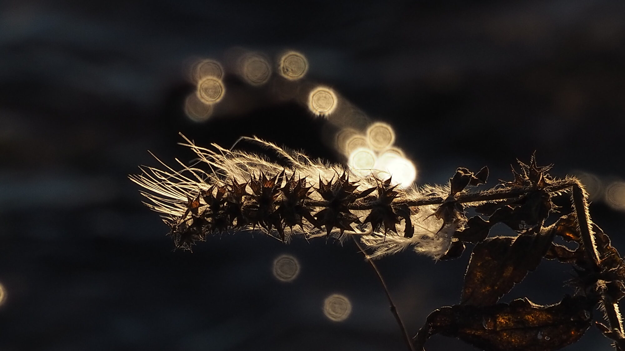 Valokuvaaja: Martti Valtonen