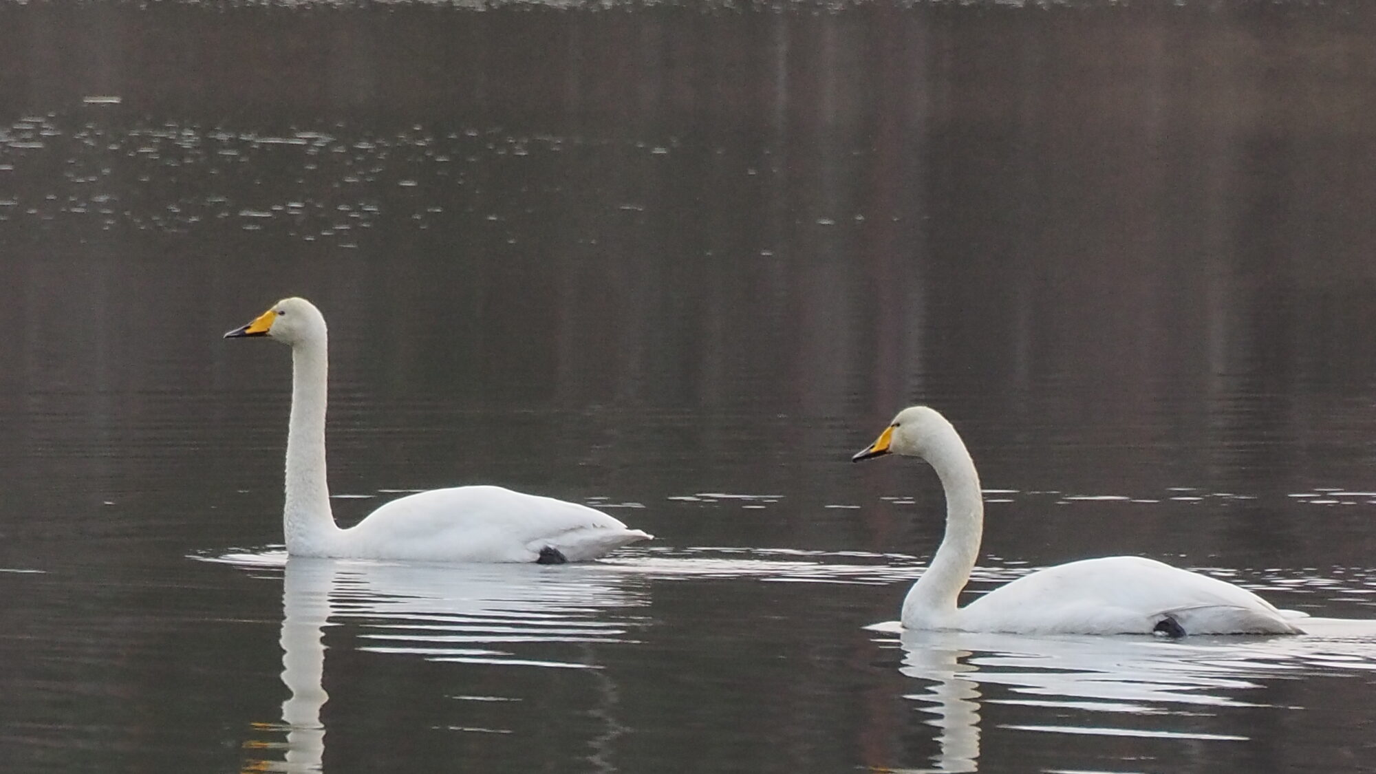 Valokuvaaja: Martti Valtonen Valokuvaaja: Martti Valtonen