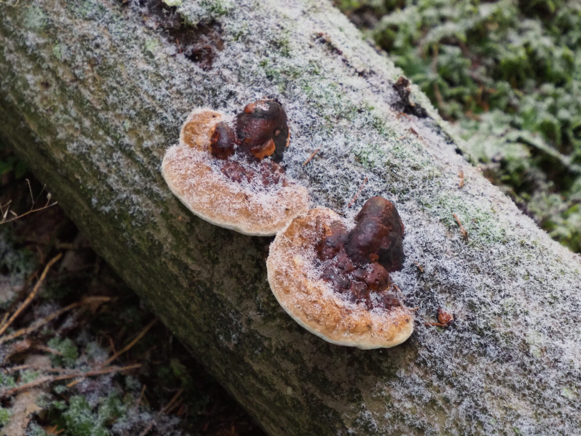 Valokuvaaja: Martti Valtonen