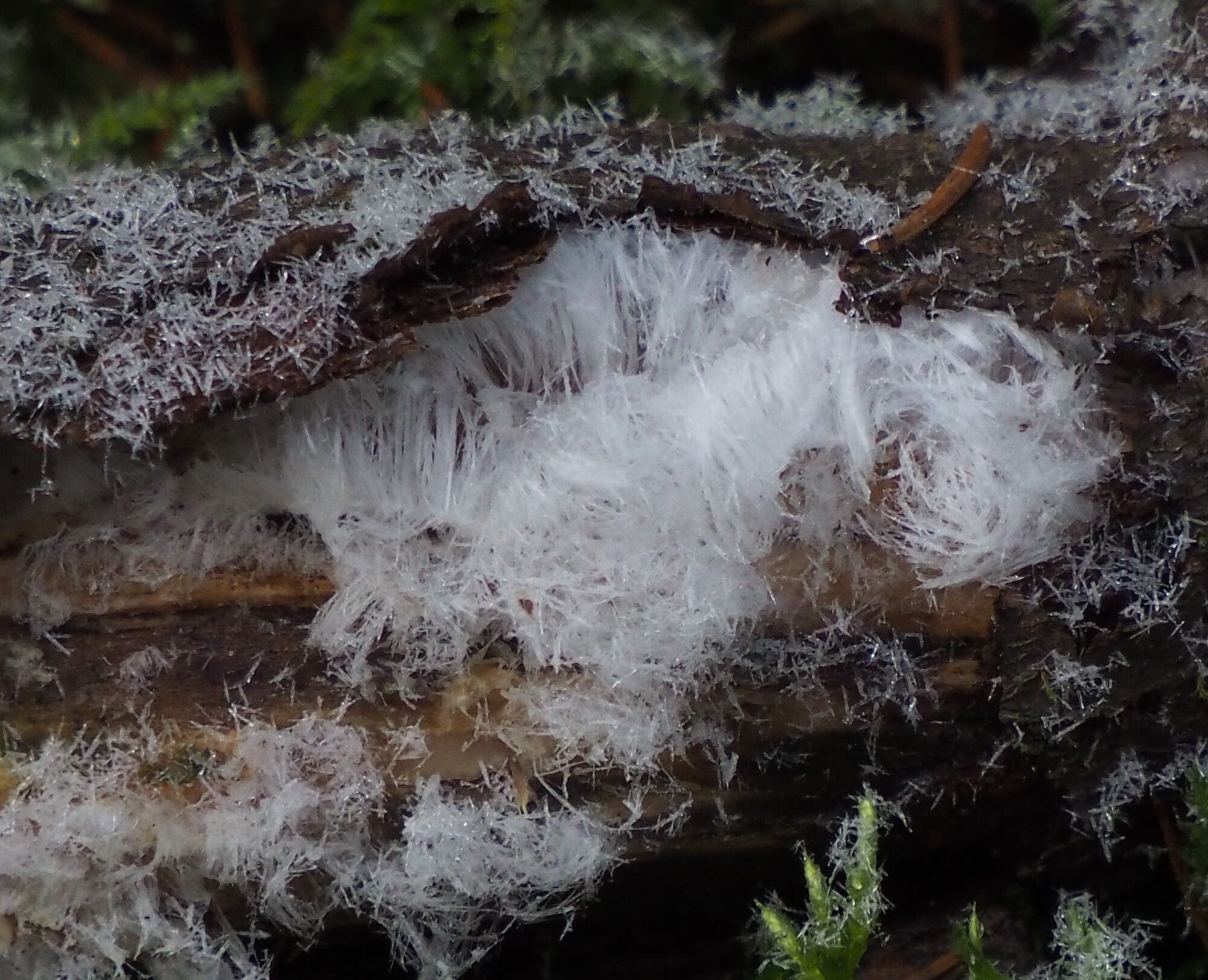 Valokuvaaja: Martti Valtonen