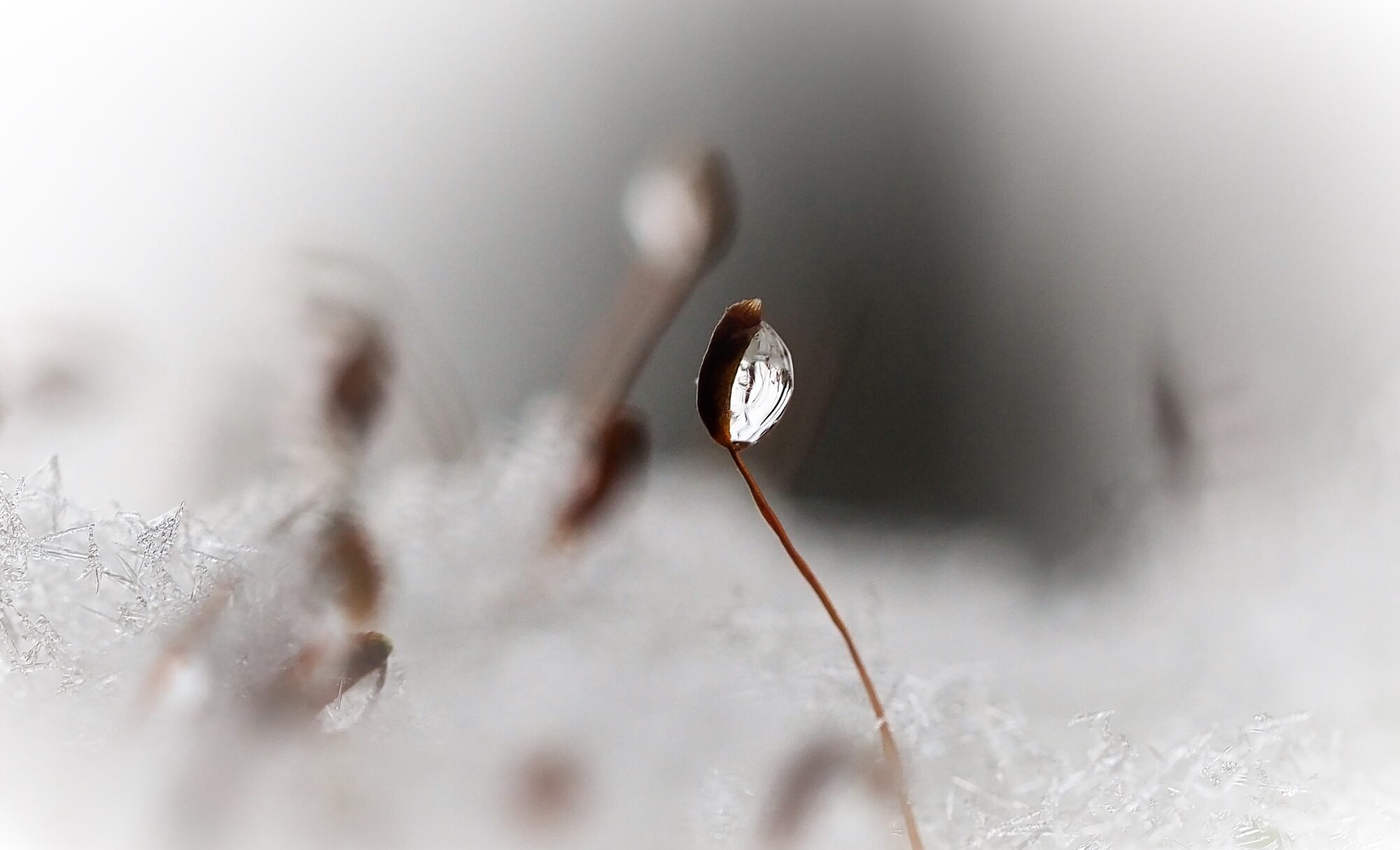 Valokuvaaja: Arja Valtonen