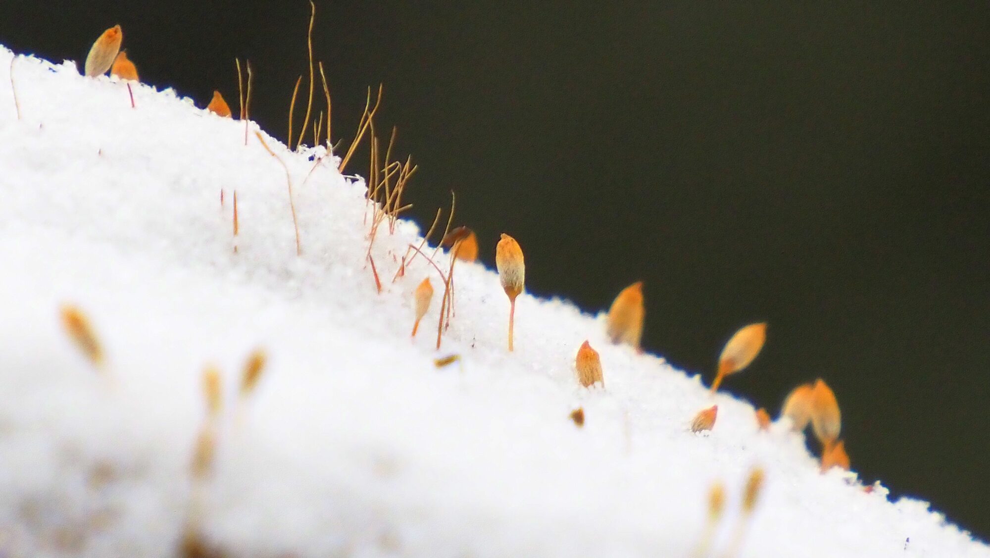 Valokuvaaja: Arja Valtonen