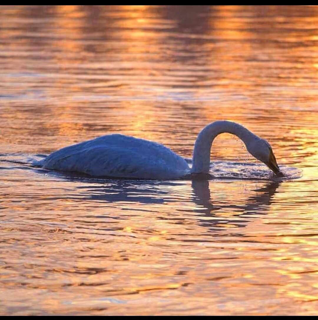 Valokuvaaja: Tapio Keinonen