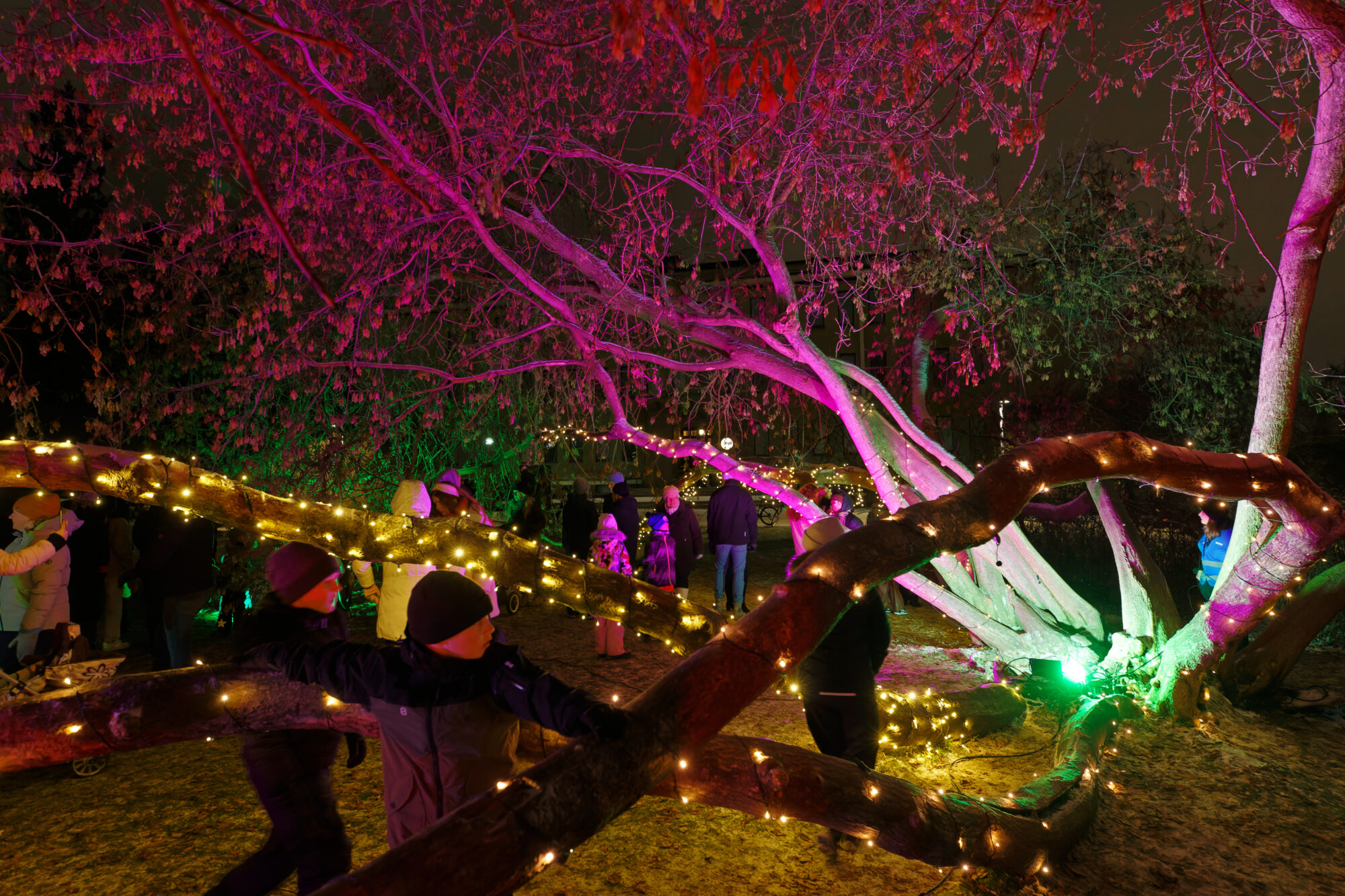 Valokuvaaja: Tommi Kujala