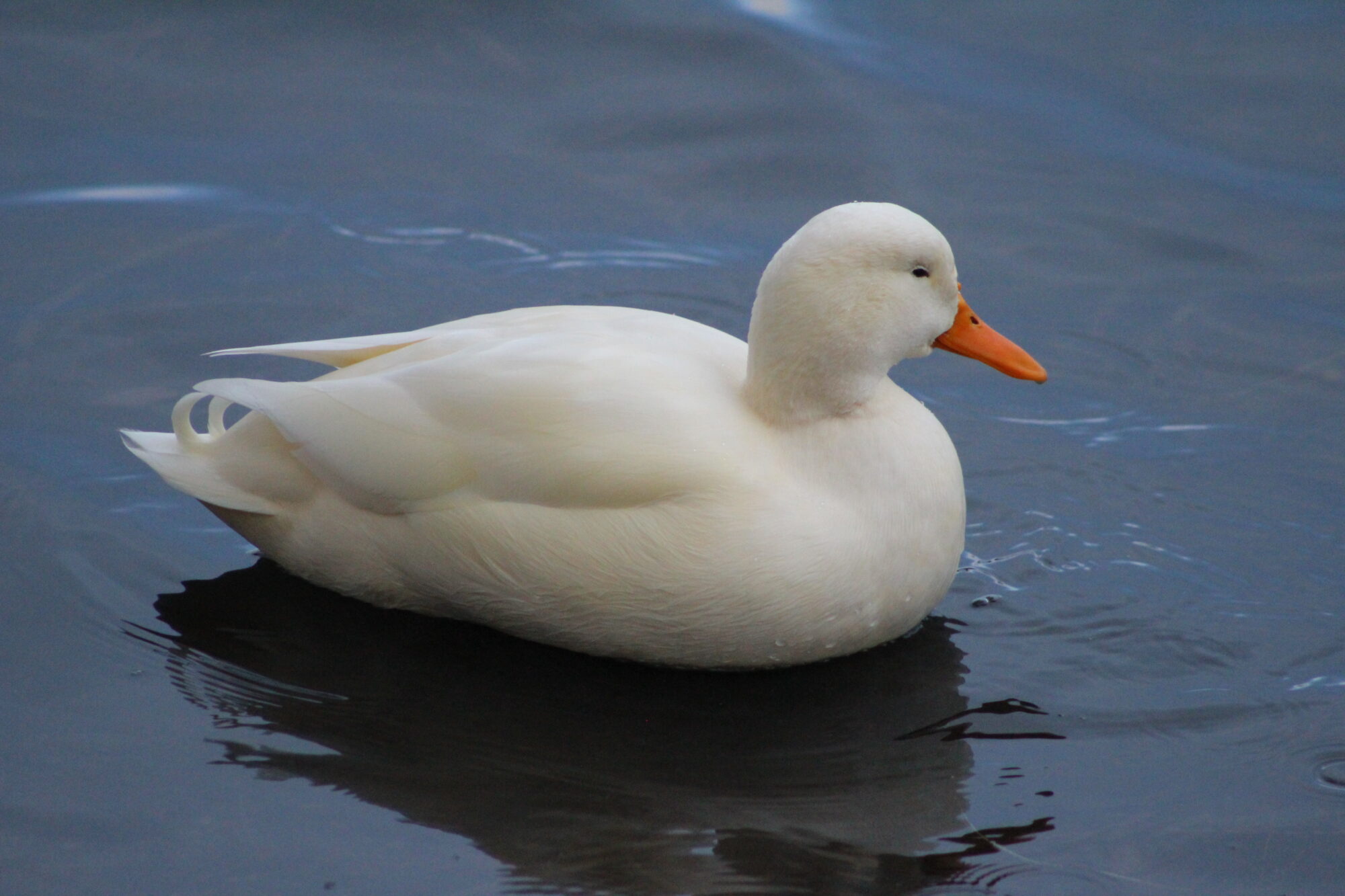 Valokuvaaja: Lisa Aarnio