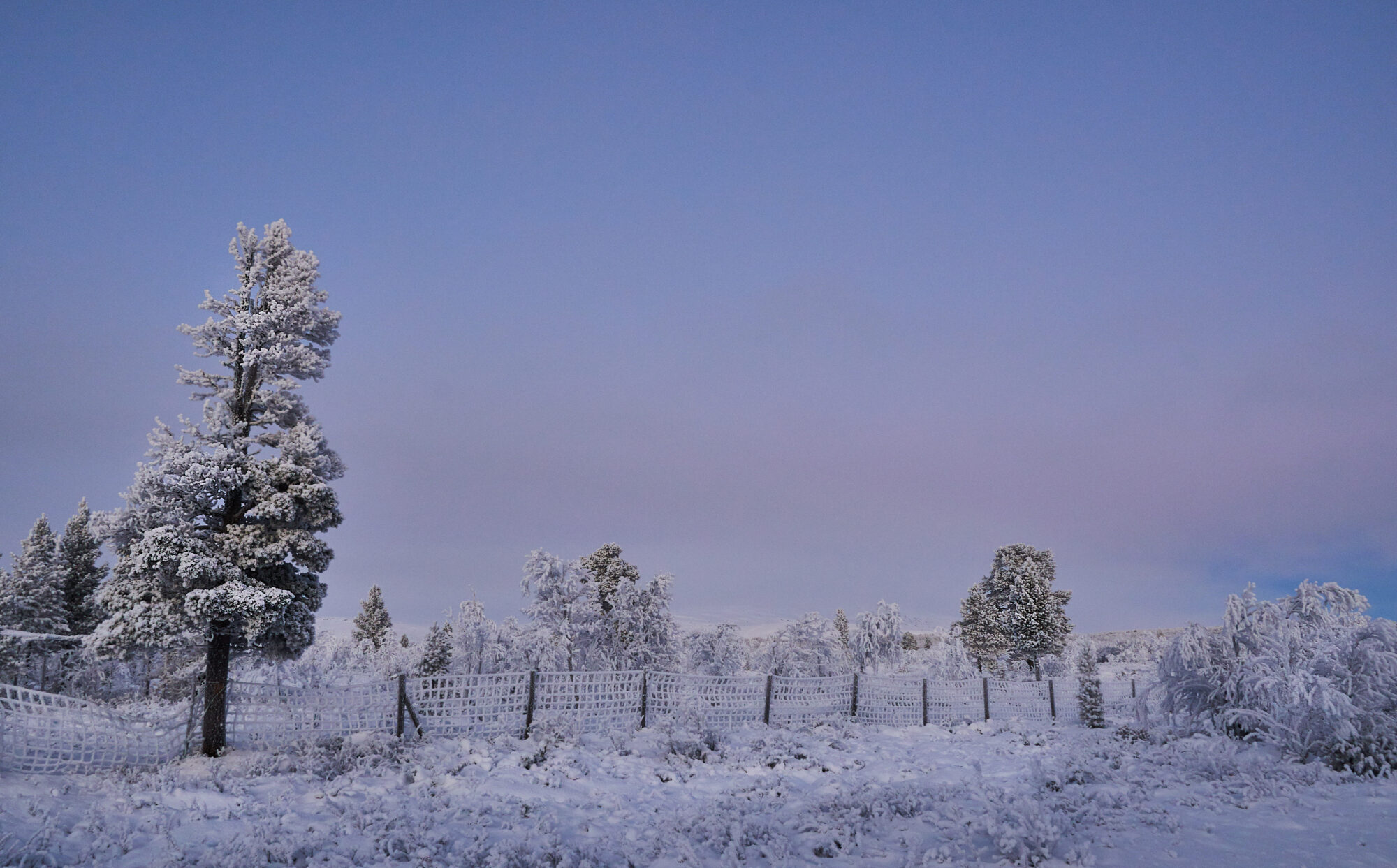 Valokuvaaja: Tarja Kouvo
