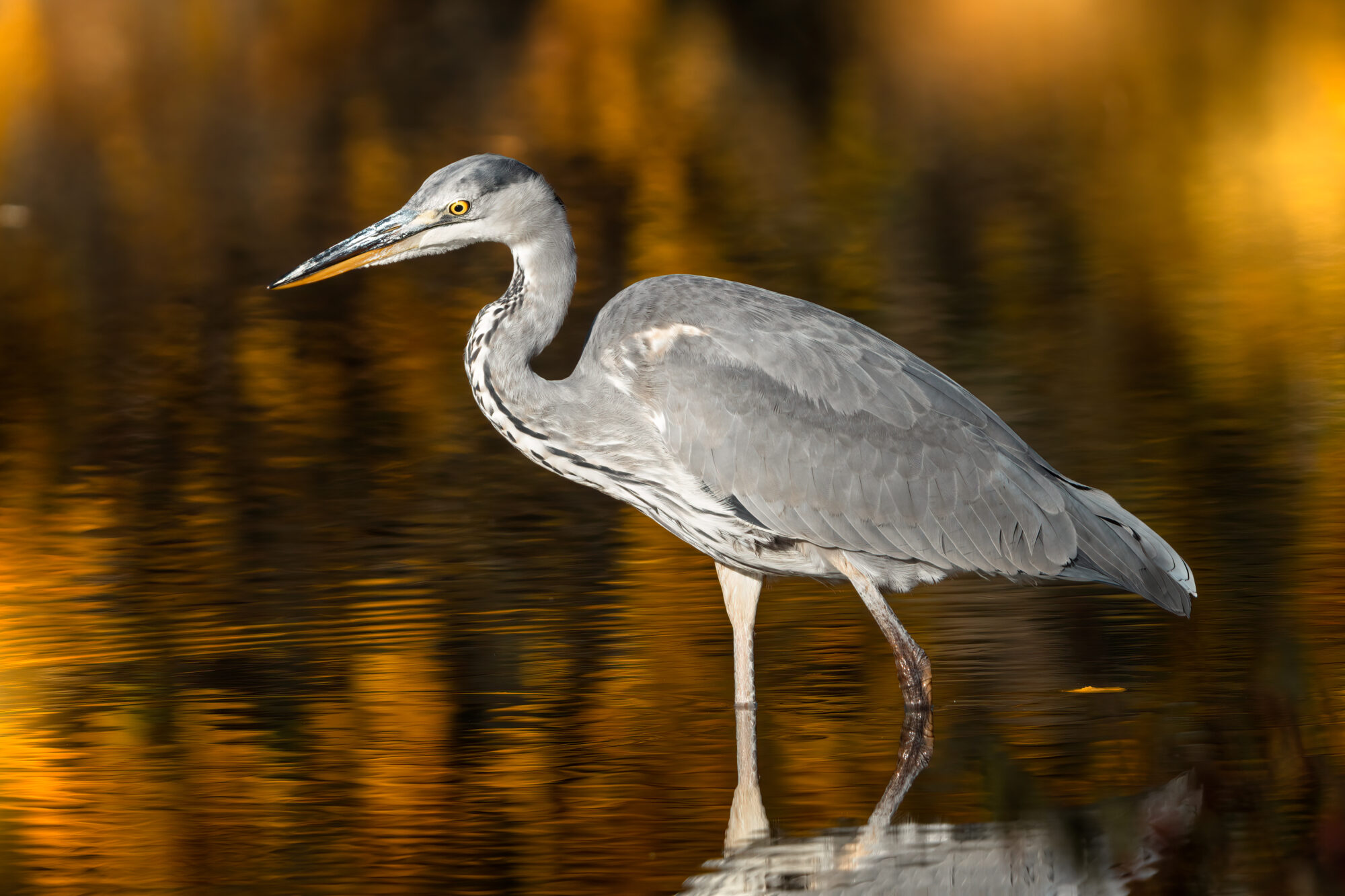 Valokuvaaja: Laura Lehtola