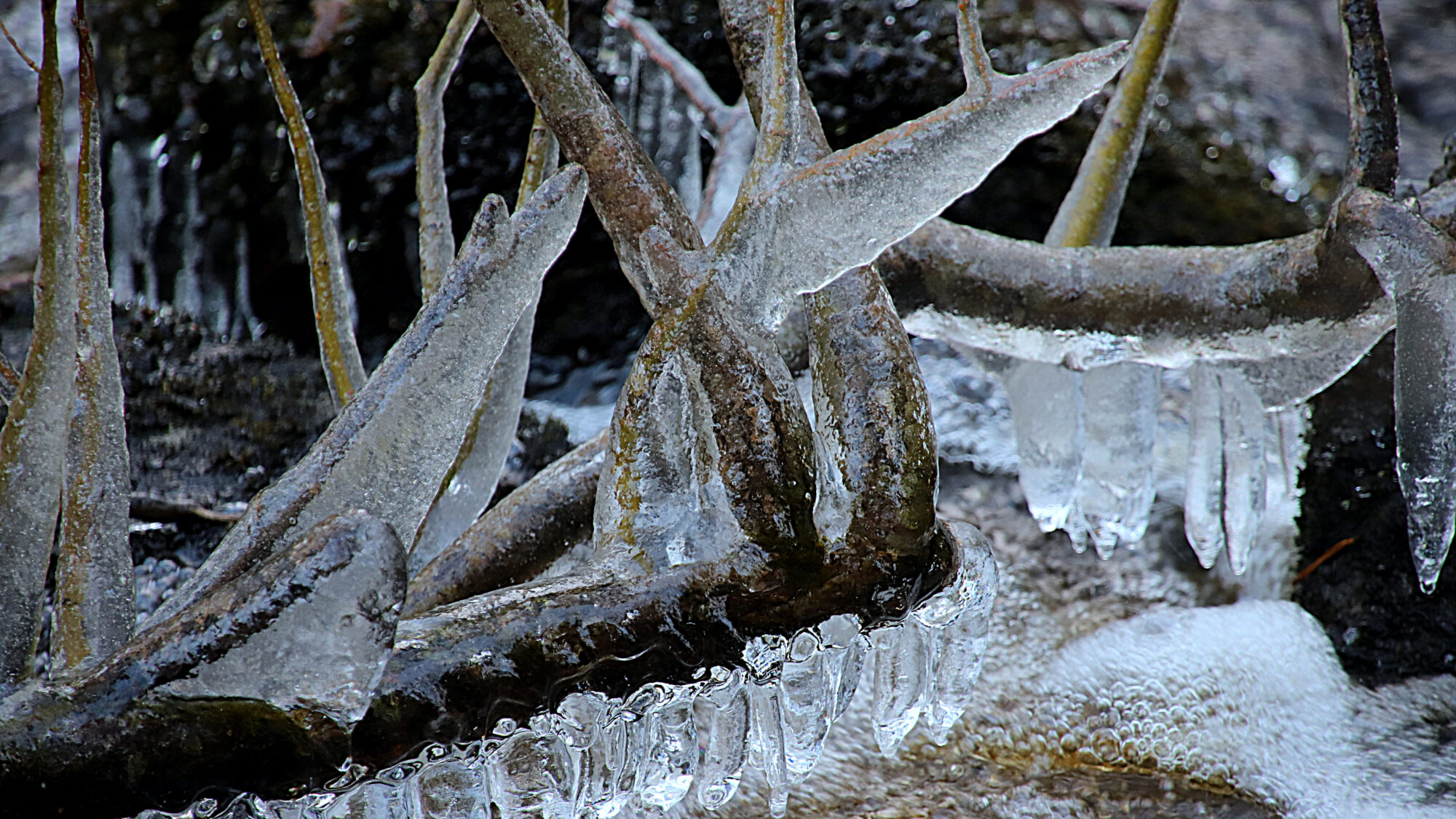 Valokuvaaja: sirpa Jyske