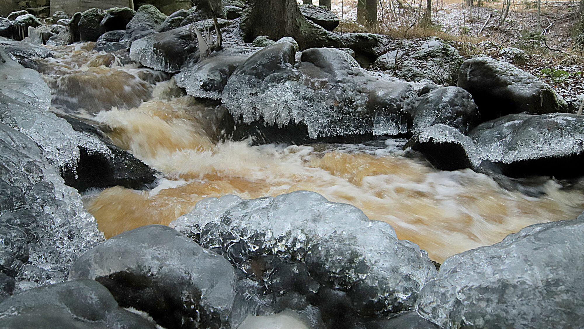 Valokuvaaja: sirpa Jyske Valokuvaaja: sirpa Jyske