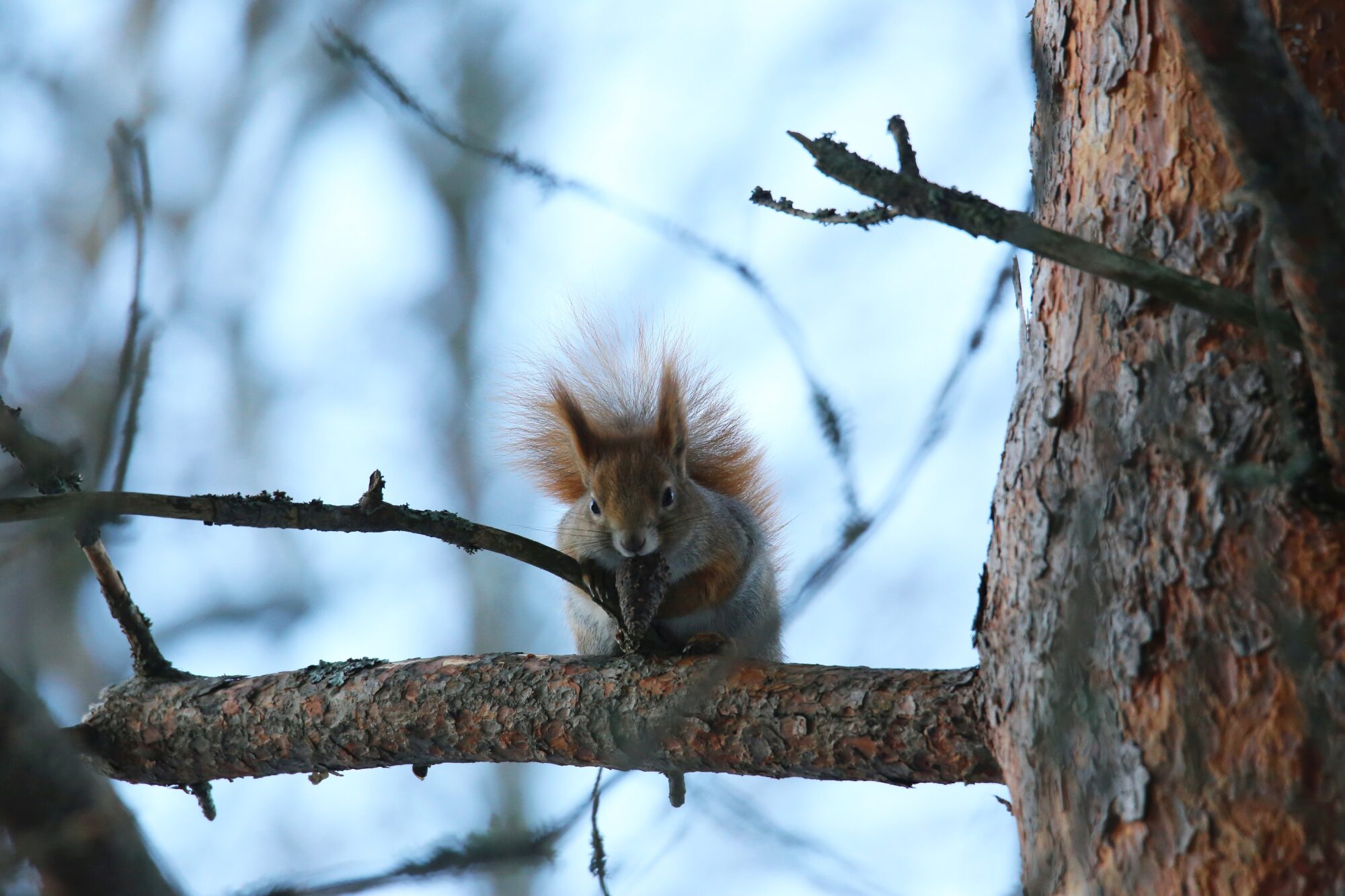 Valokuvaaja: Jaana Saarelainen