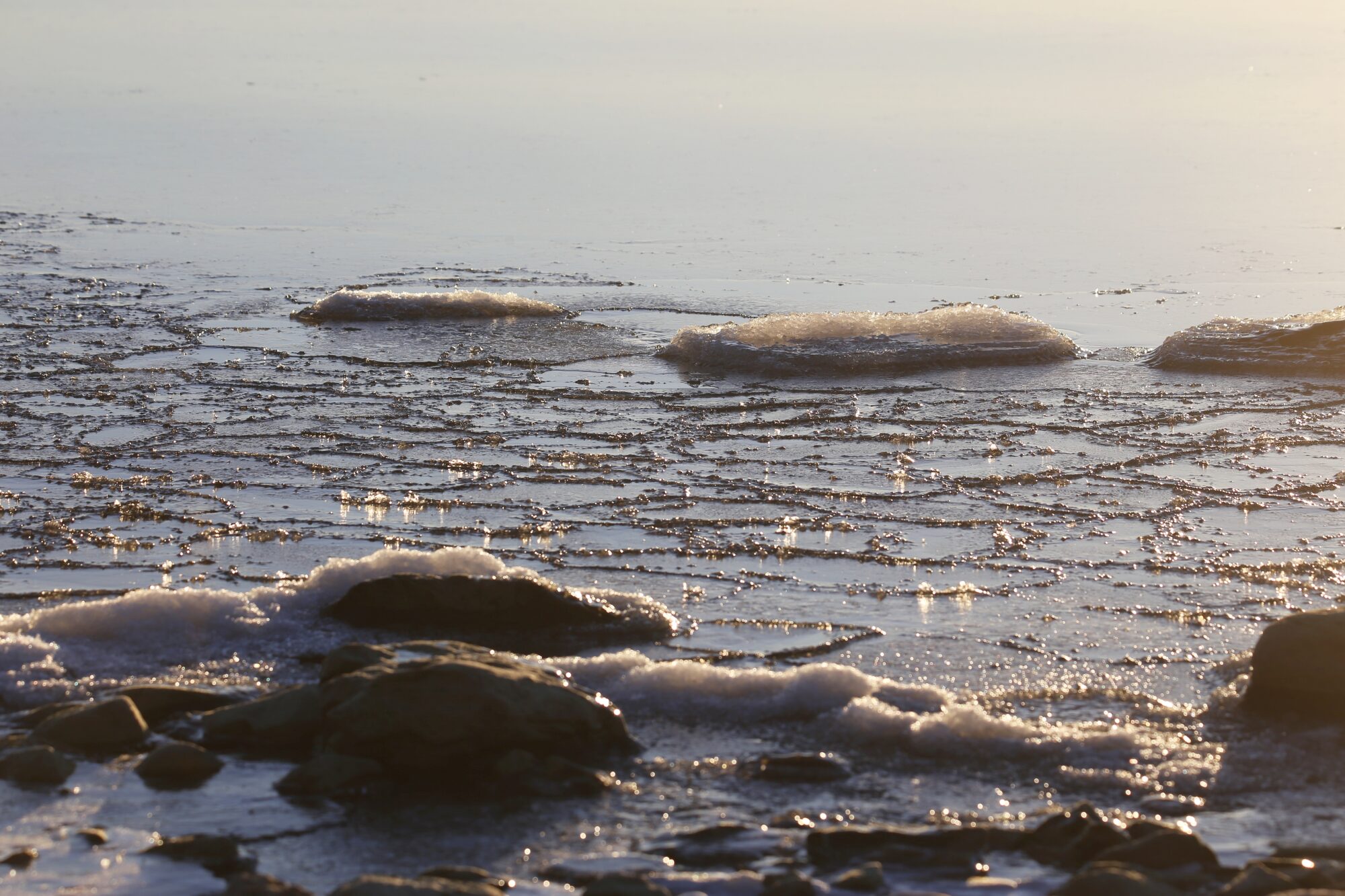 Valokuvaaja: Jaana Saarelainen
