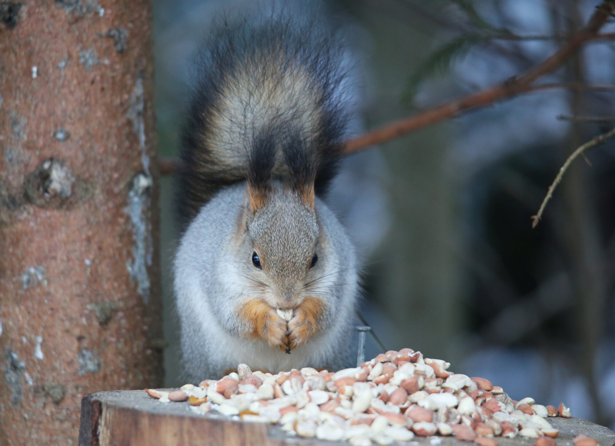 Valokuvaaja: Jaana Saarelainen