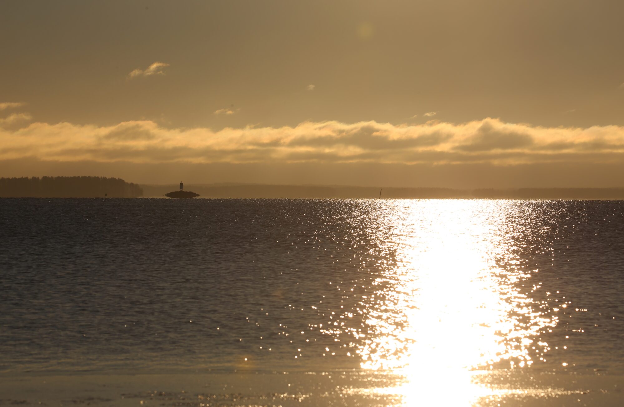 Valokuvaaja: Jaana Saarelainen