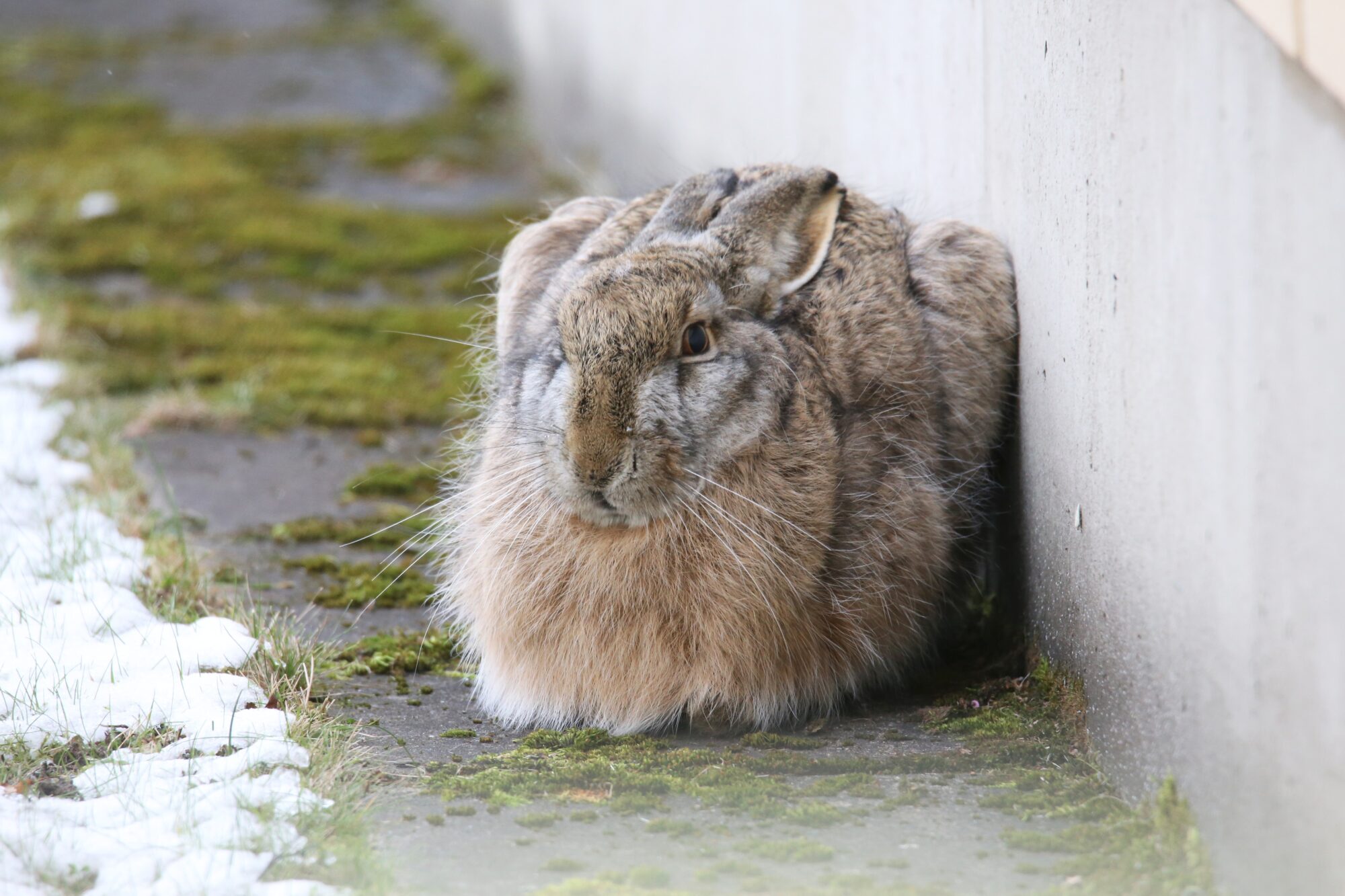 Valokuvaaja: Jaana Saarelainen Valokuvaaja: Jaana Saarelainen