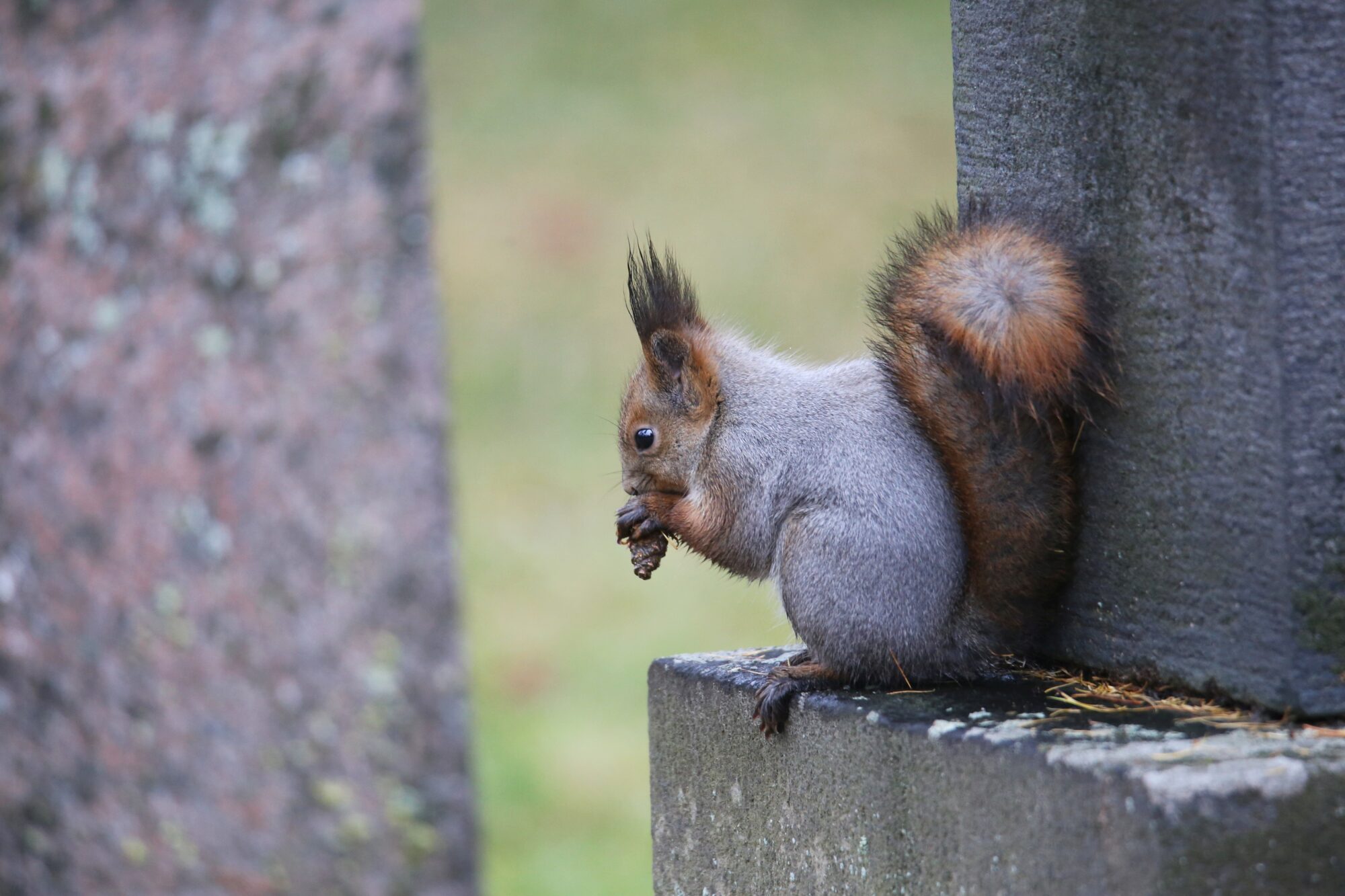 Valokuvaaja: Jaana Saarelainen