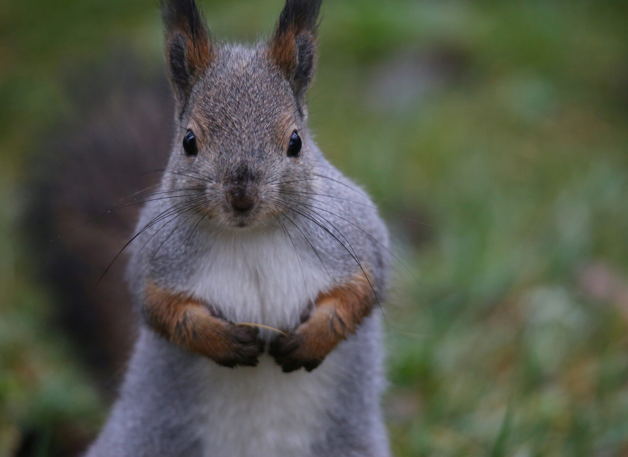 Valokuvaaja: Jaana Saarelainen Valokuvaaja: Jaana Saarelainen