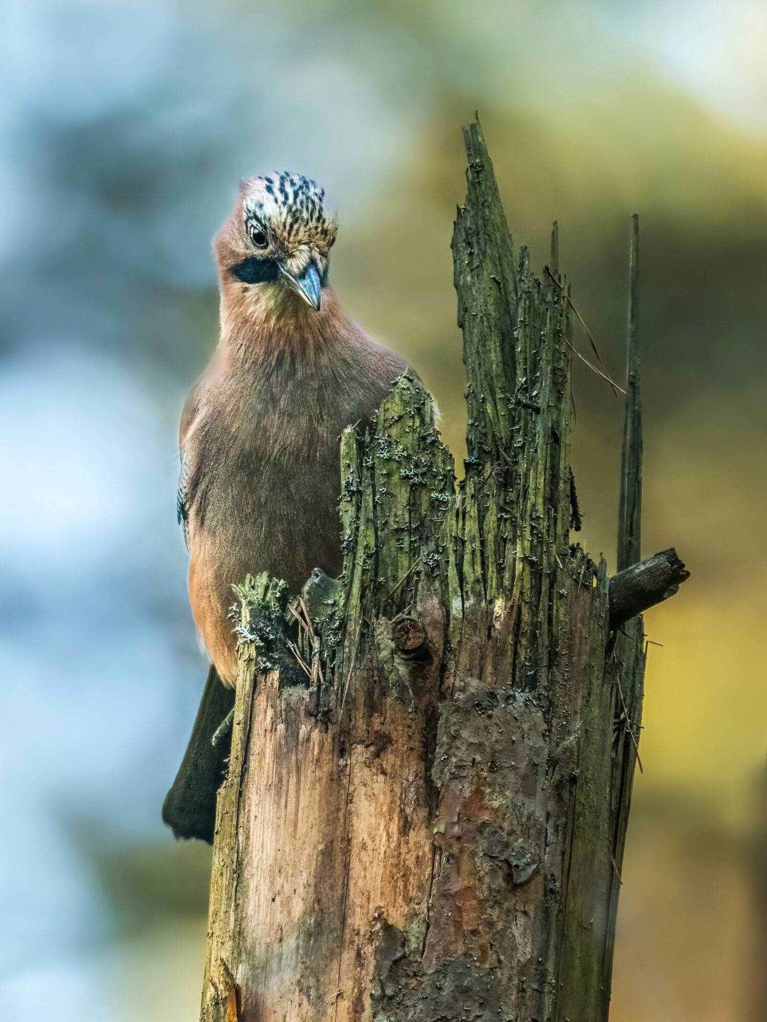 Valokuvaaja: Risto Lavi Valokuvaaja: Risto Lavi