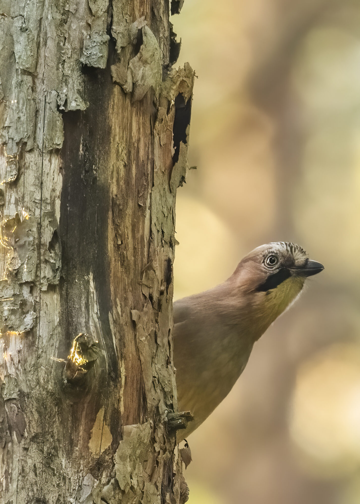 Valokuvaaja: Risto Lavi
