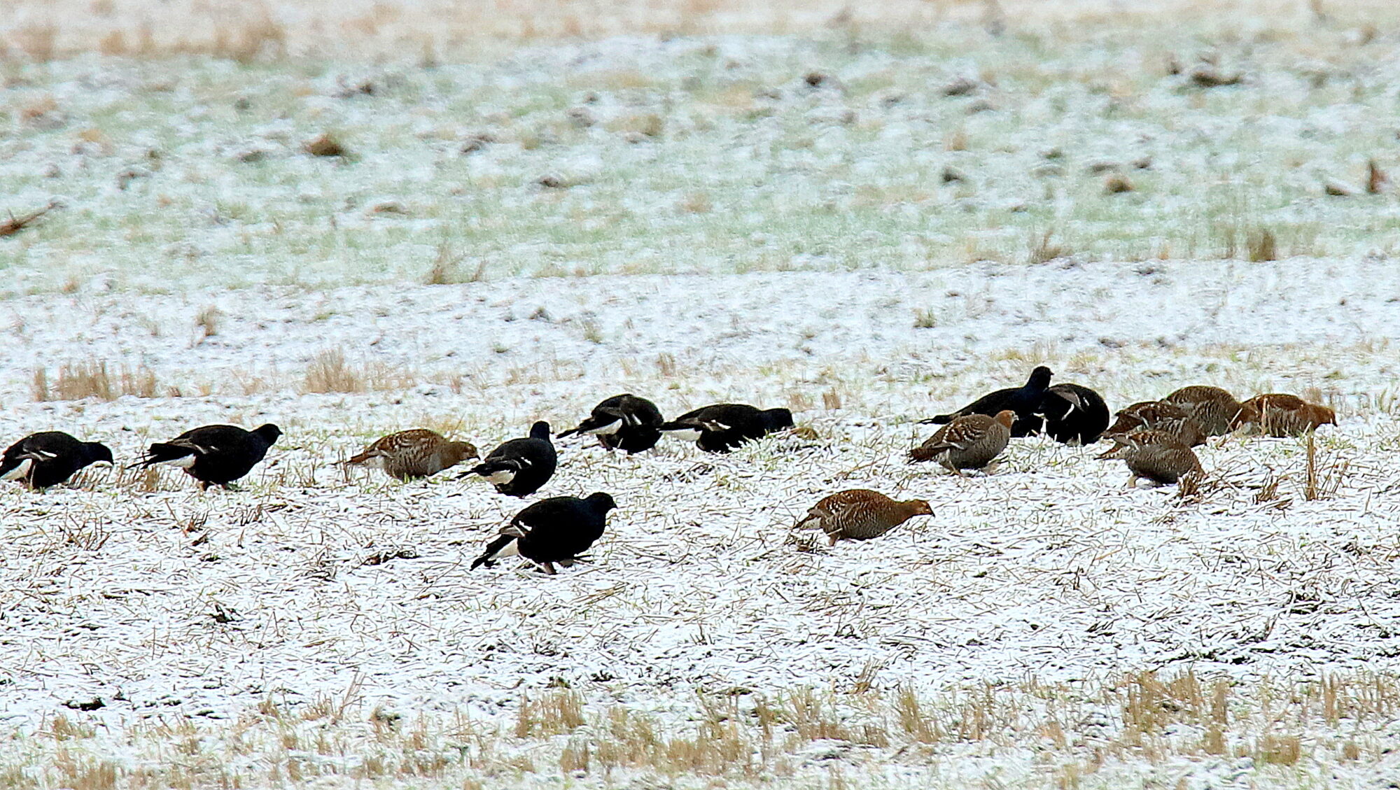 Valokuvaaja: sirpa Jyske