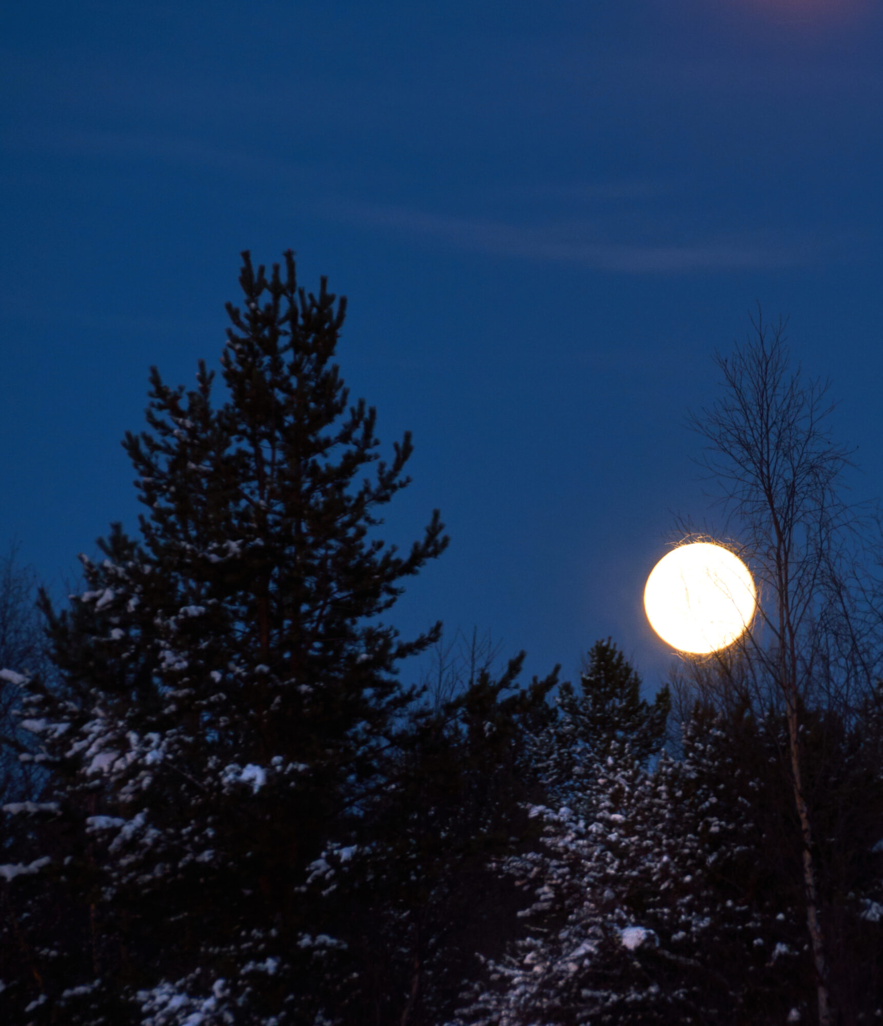 Valokuvaaja: Tarja Kouvo