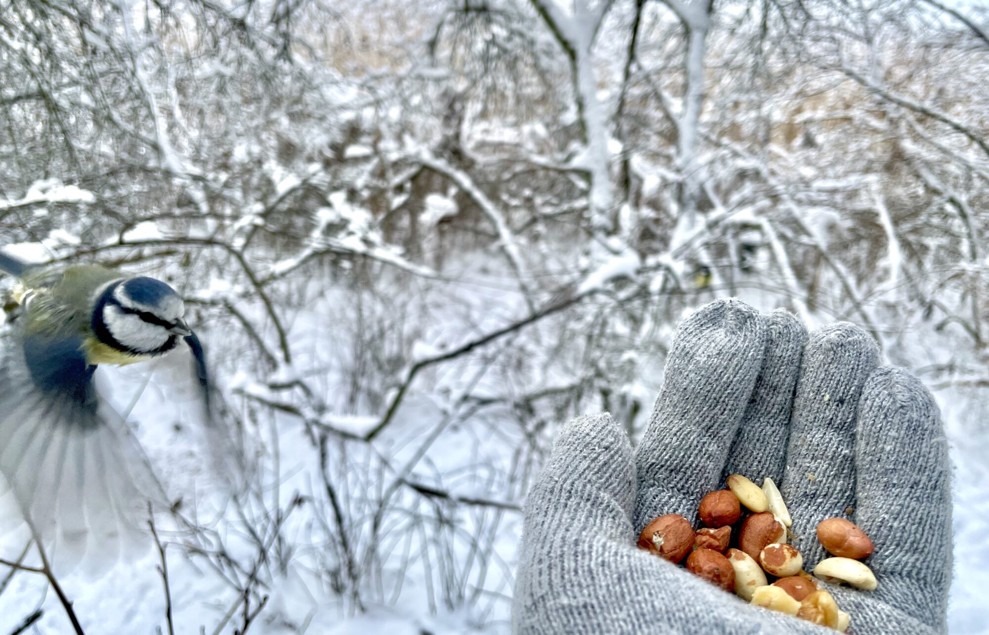Valokuvaaja: Juhani Peltonen