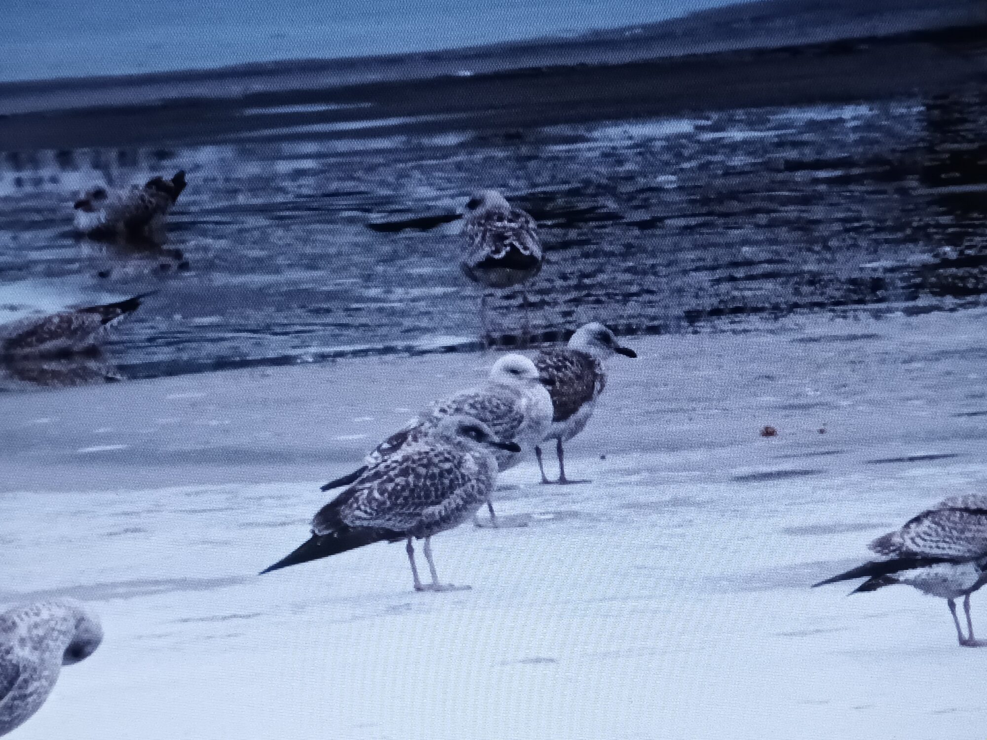 Valokuvaaja: Alvar Ilmonen