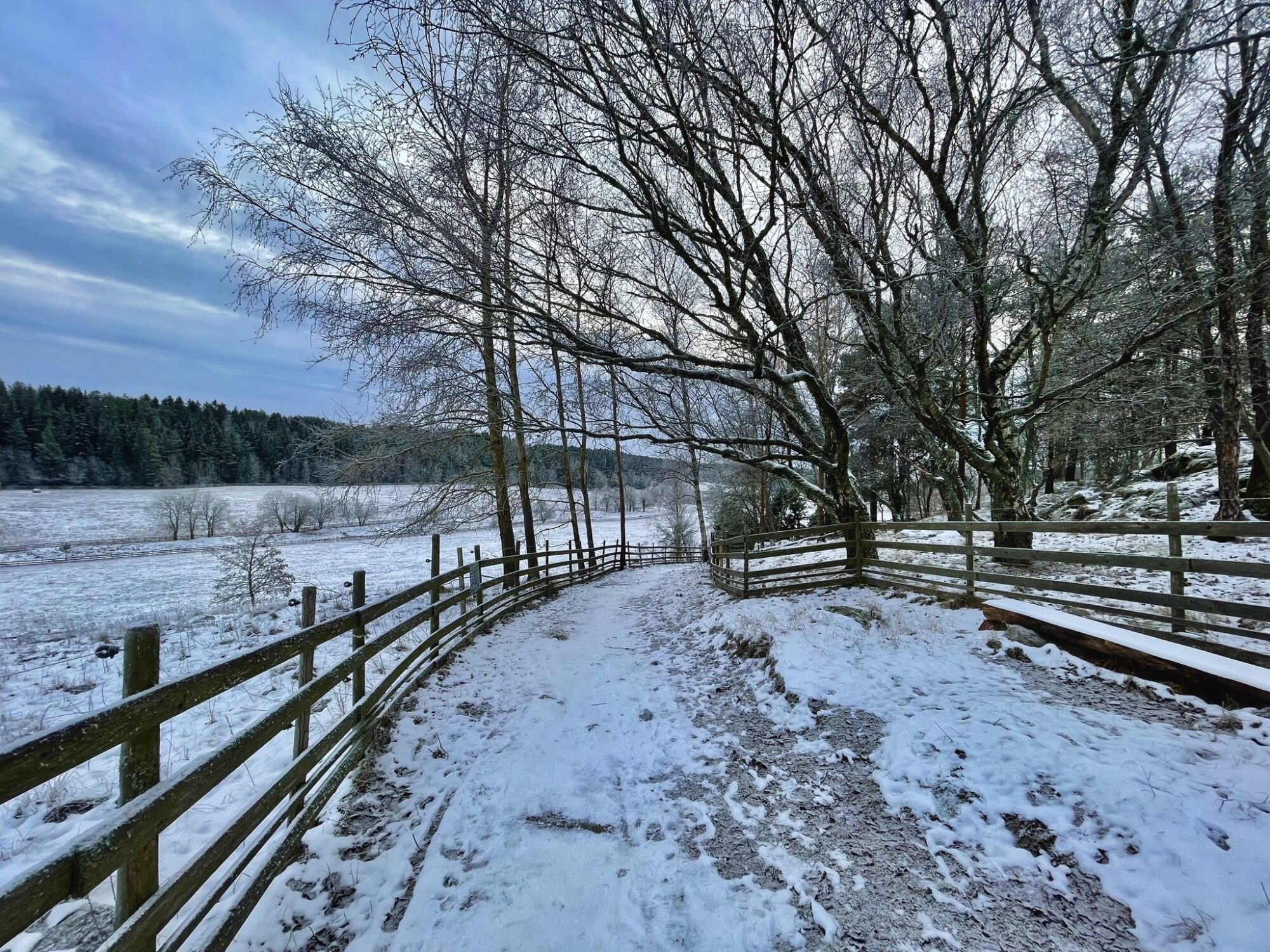 Valokuvaaja: Juhani Peltonen