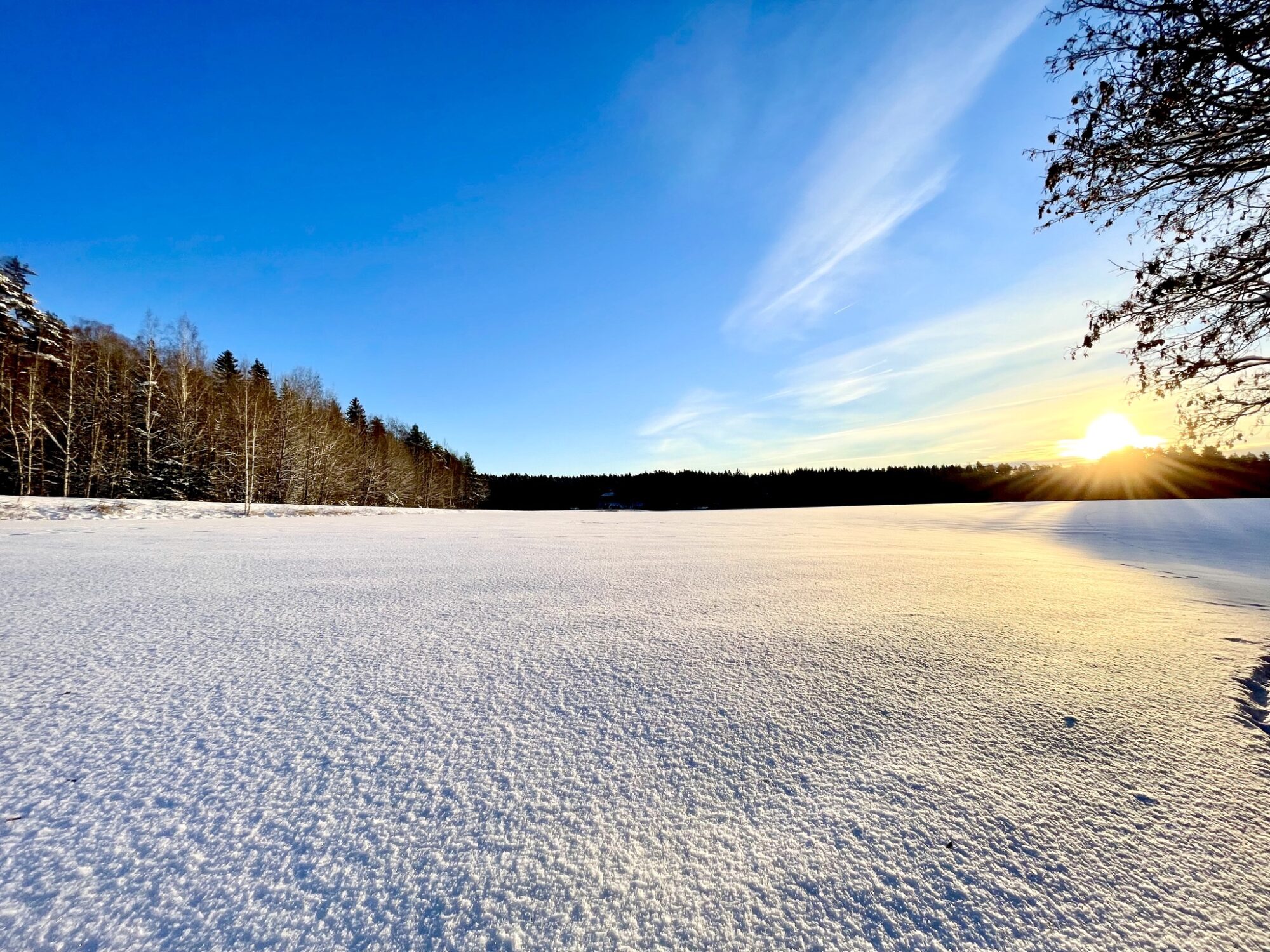 Valokuvaaja: Juhani Peltonen
