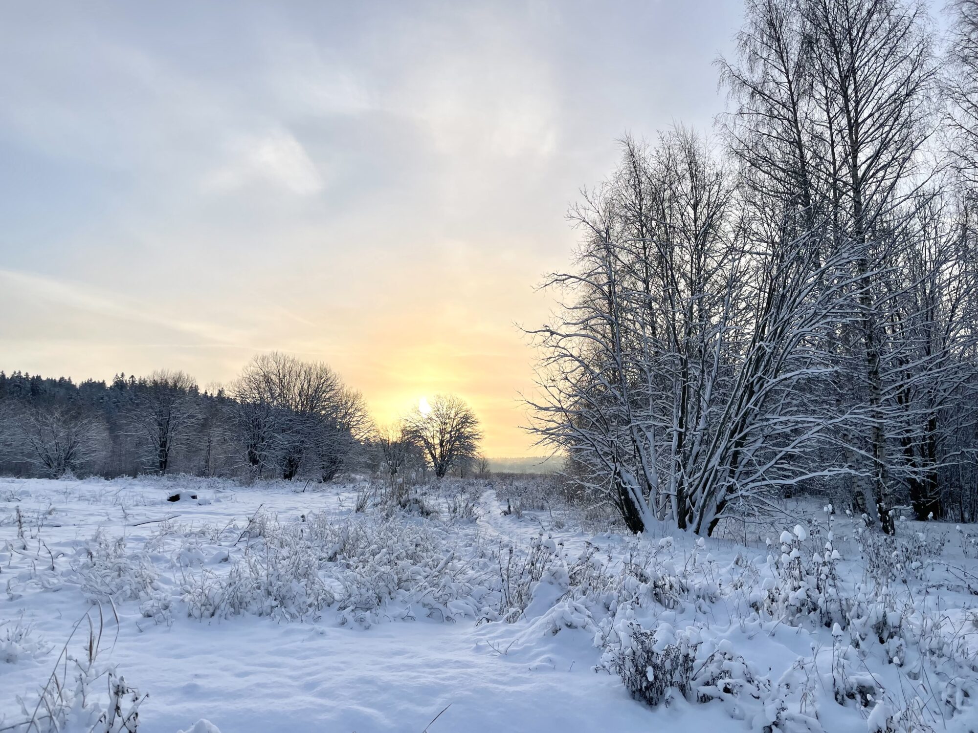 Valokuvaaja: Juhani Peltonen