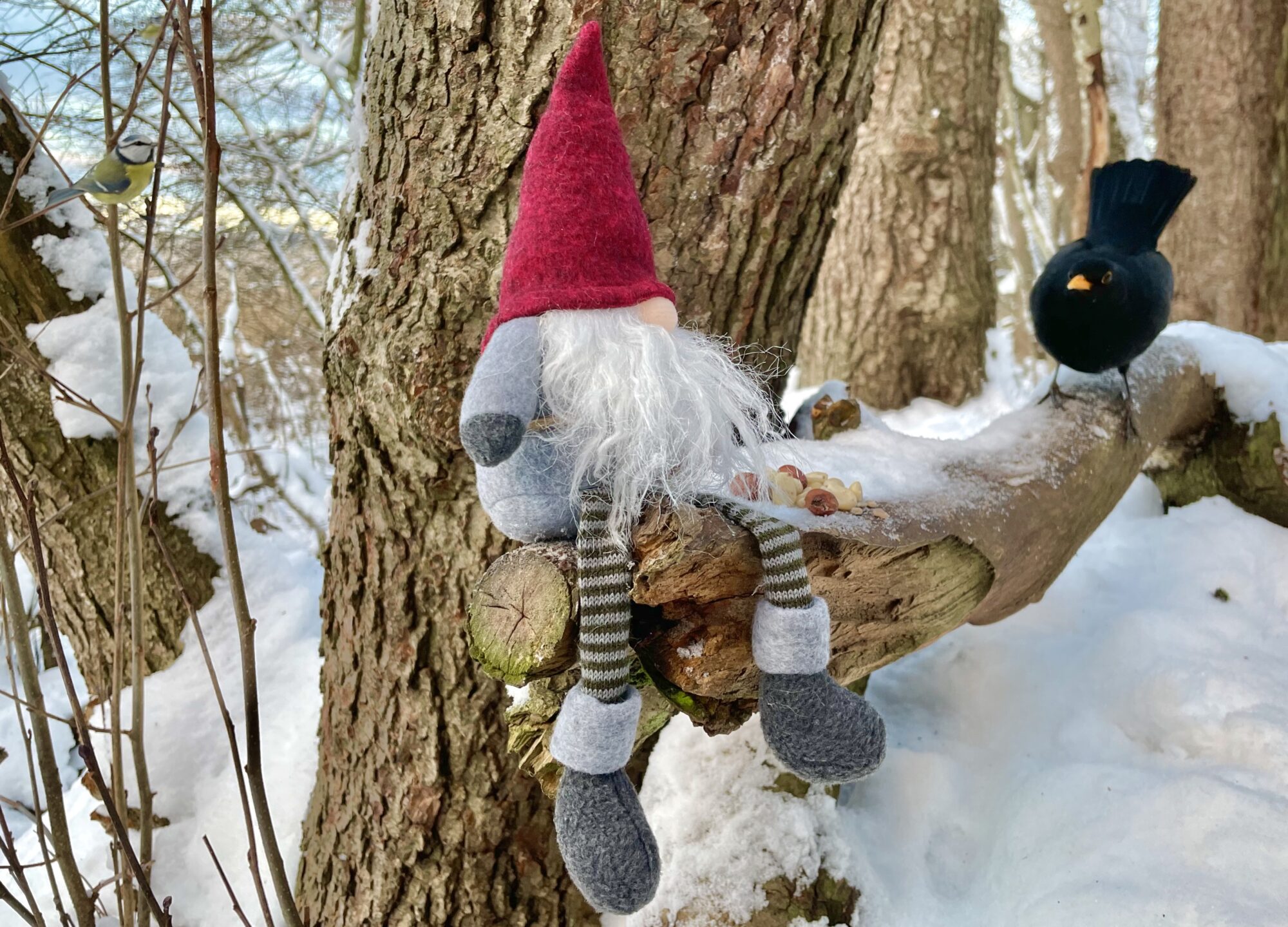 Valokuvaaja: Juhani Peltonen