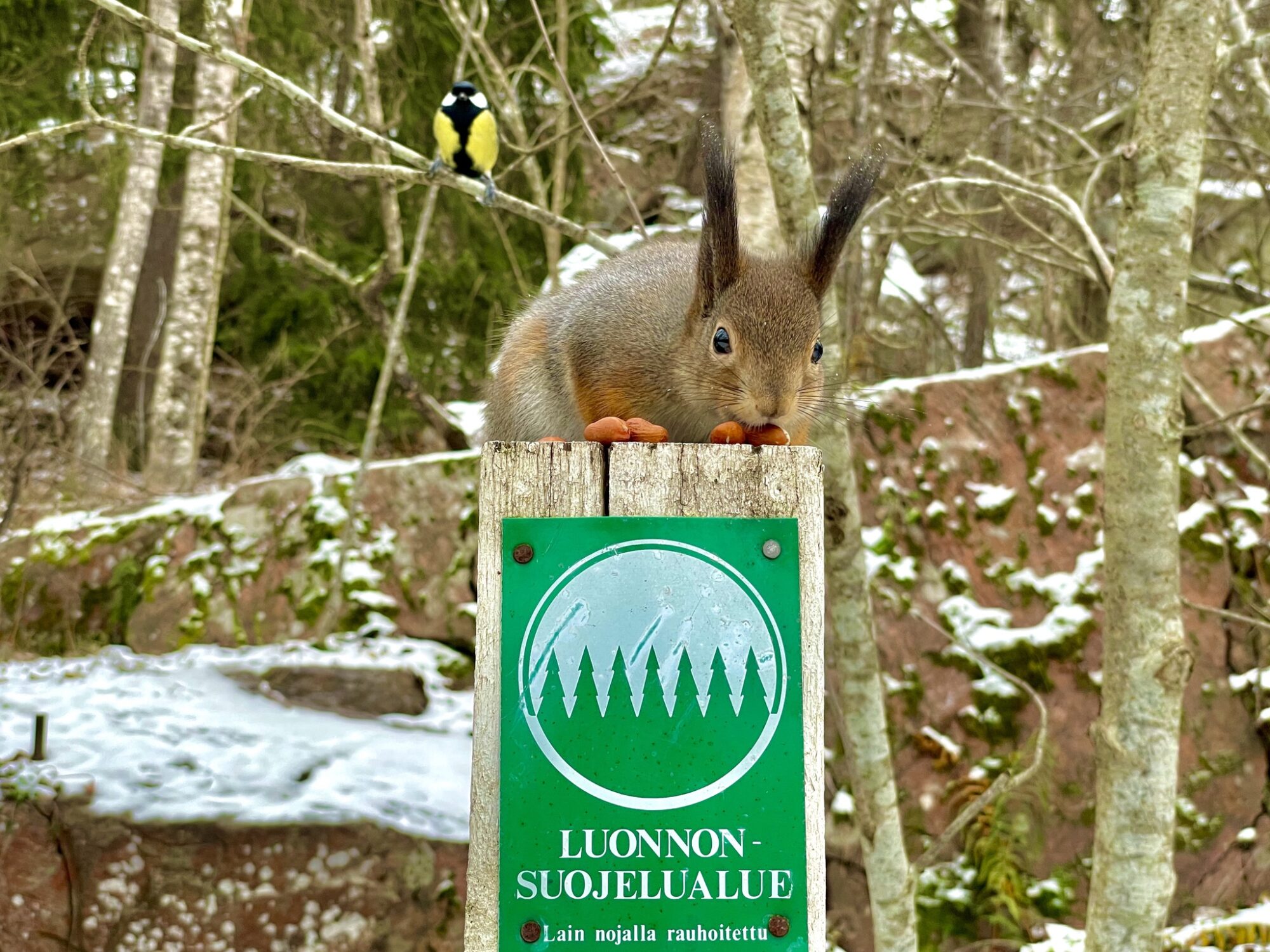 Valokuvaaja: Juhani Peltonen