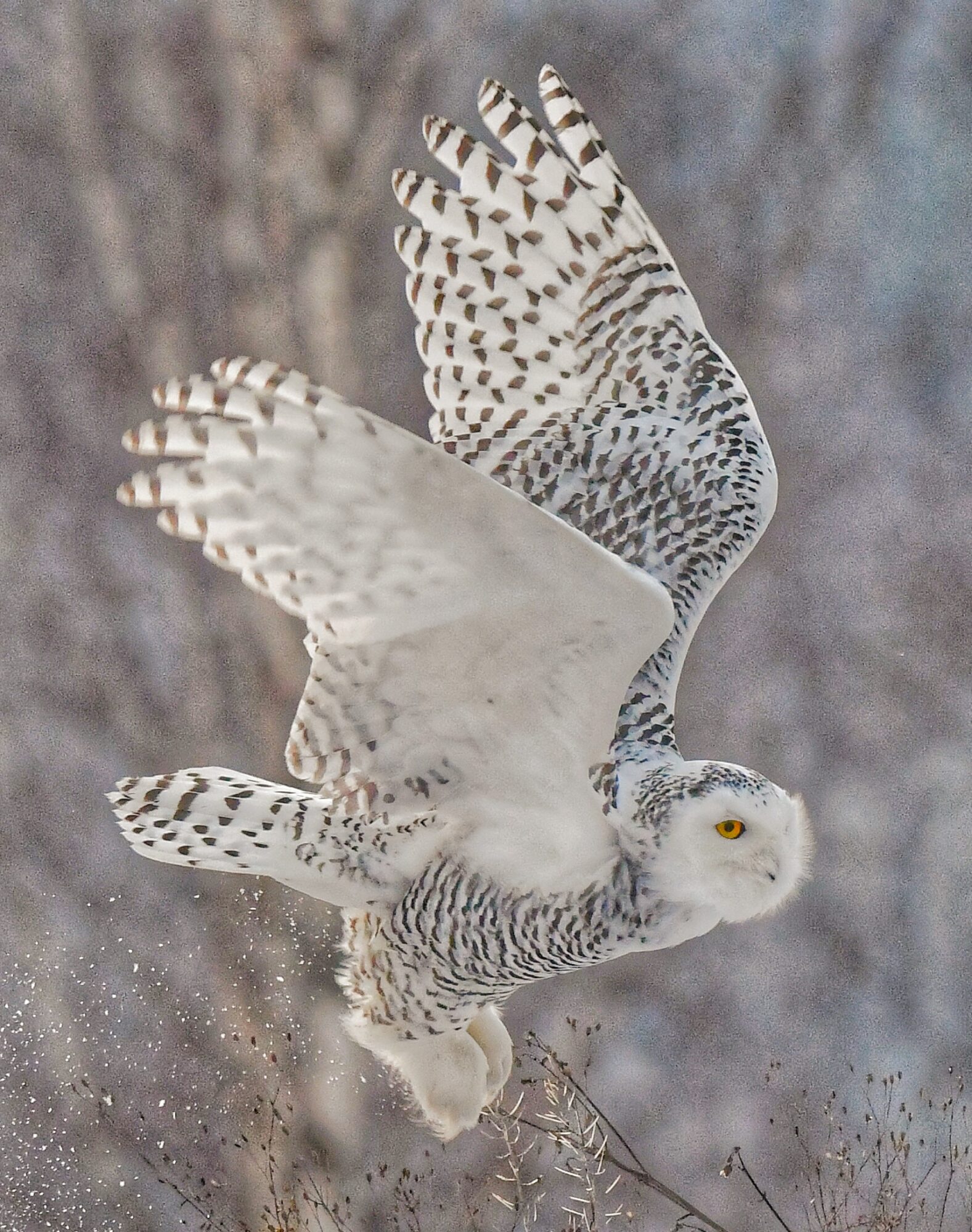 Valokuvaaja: Arto Lappalainen