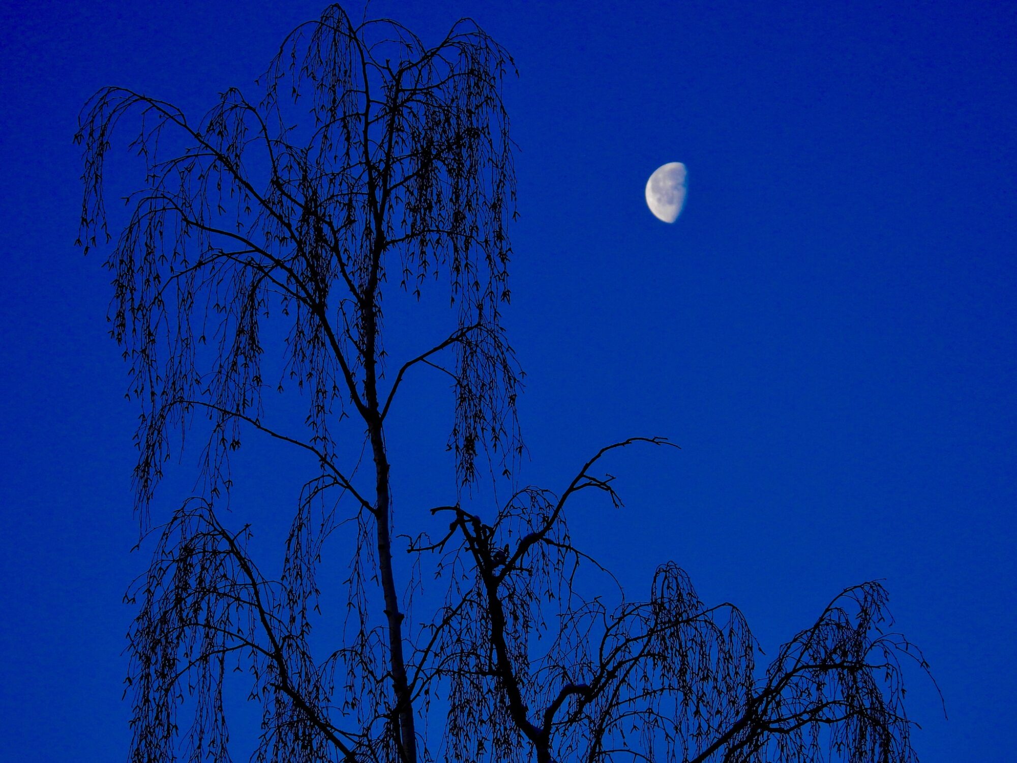 Valokuvaaja: Juhani Peltonen