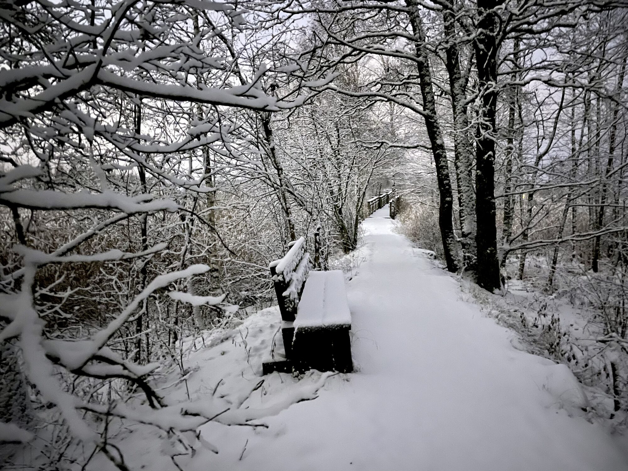 Valokuvaaja: Juhani Peltonen