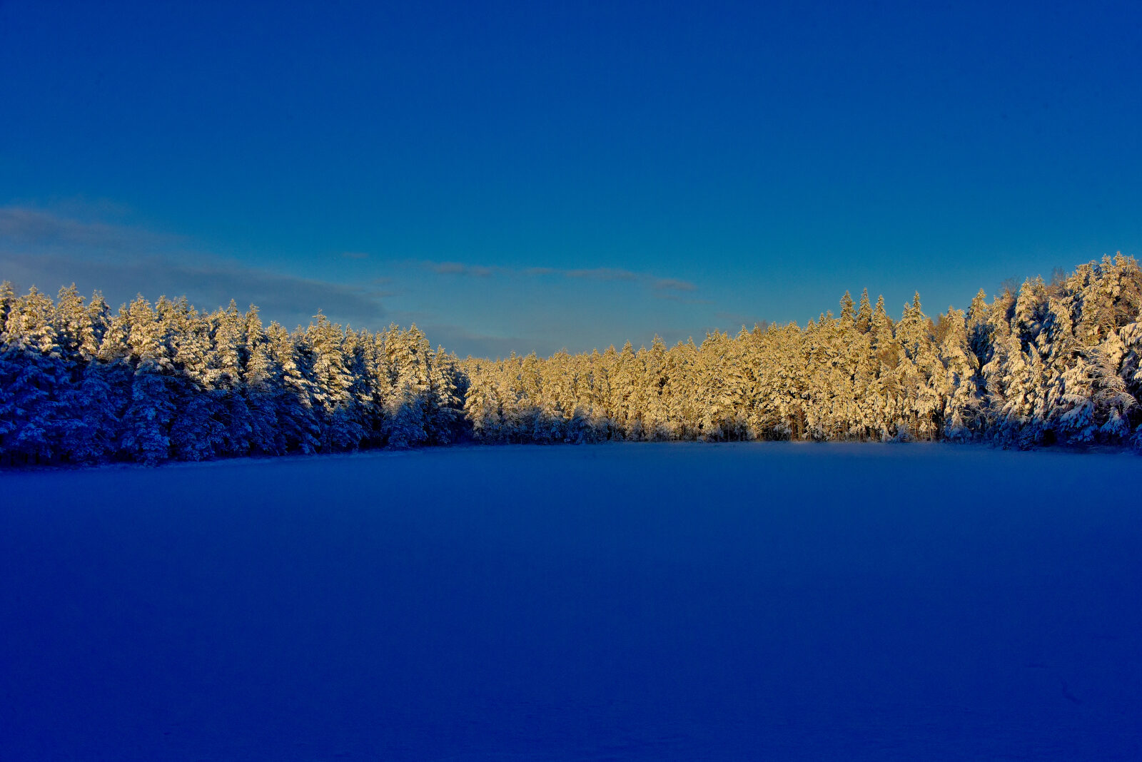 Valokuvaaja: Reijo Juurinen