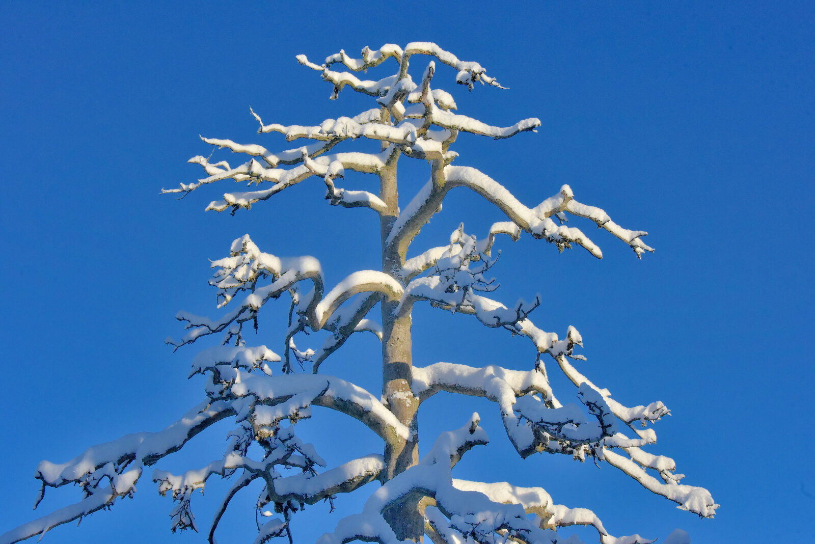 Valokuvaaja: Reijo Juurinen