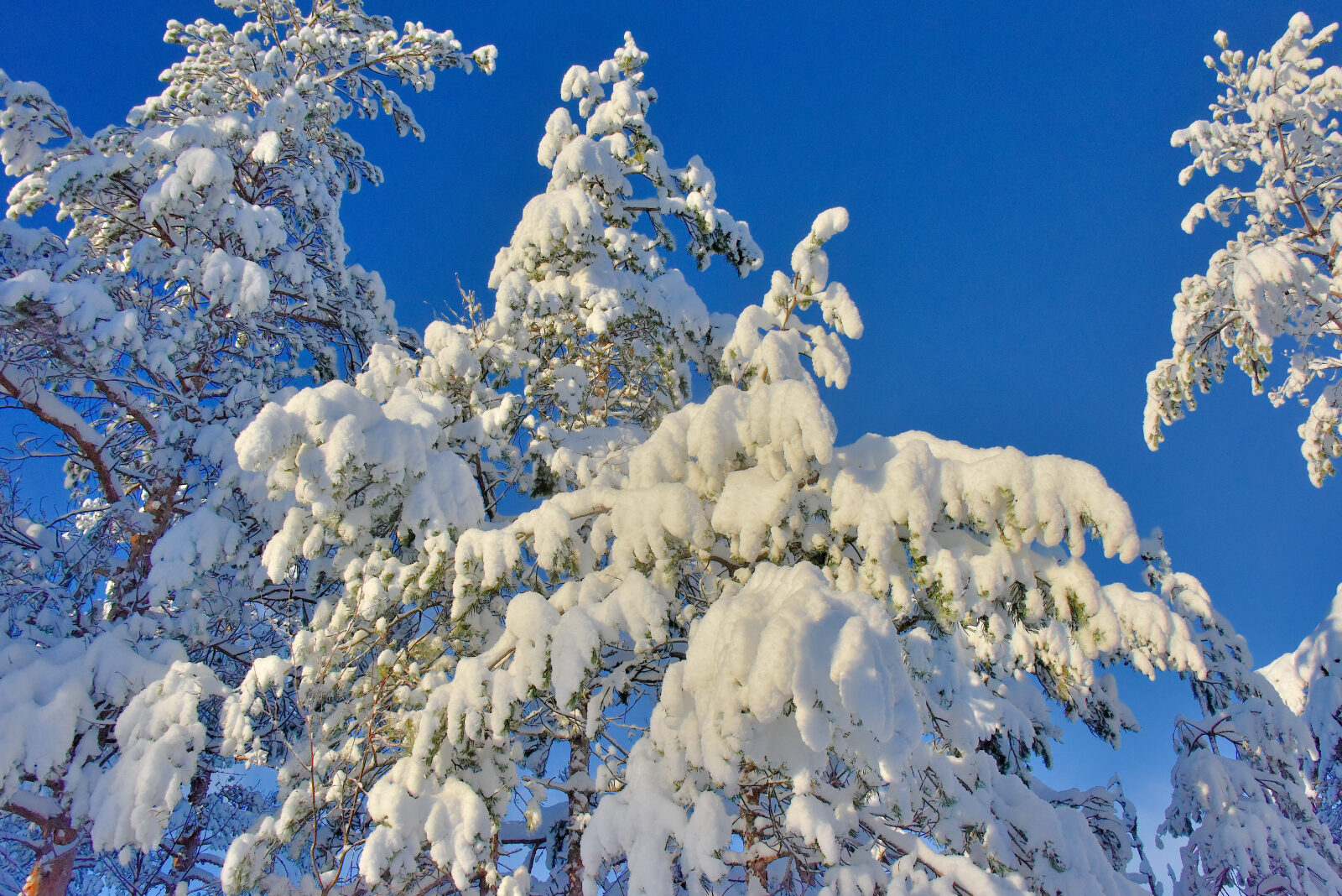 Valokuvaaja: Reijo Juurinen