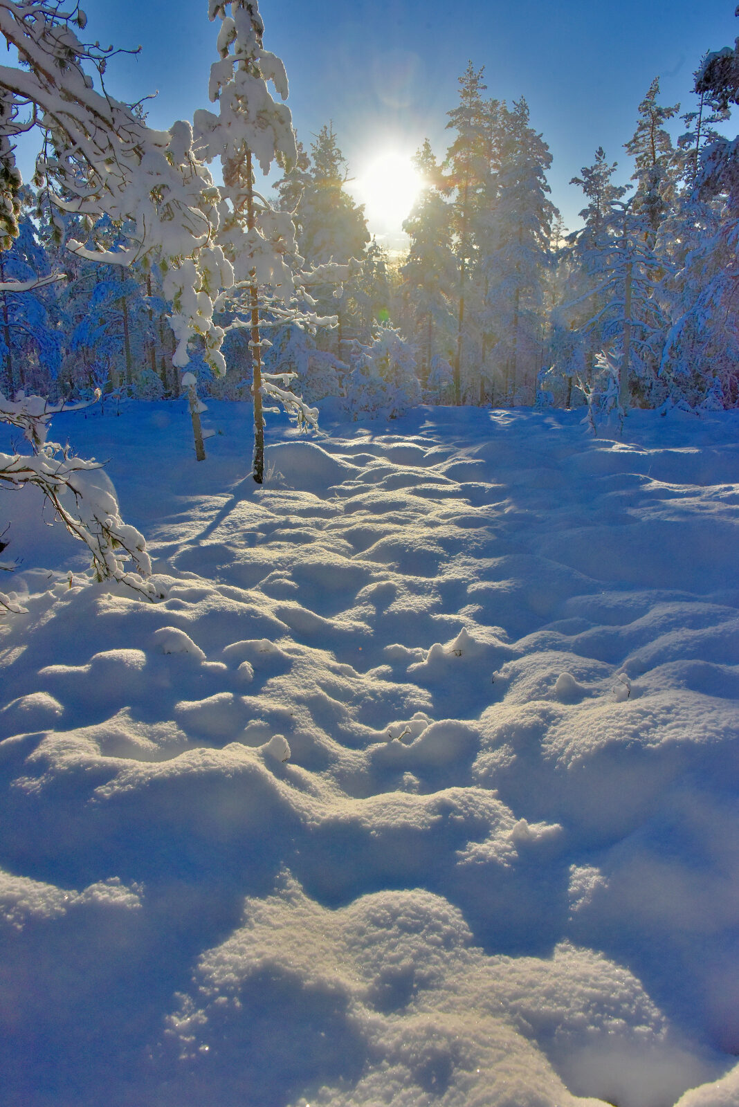 Valokuvaaja: Reijo Juurinen