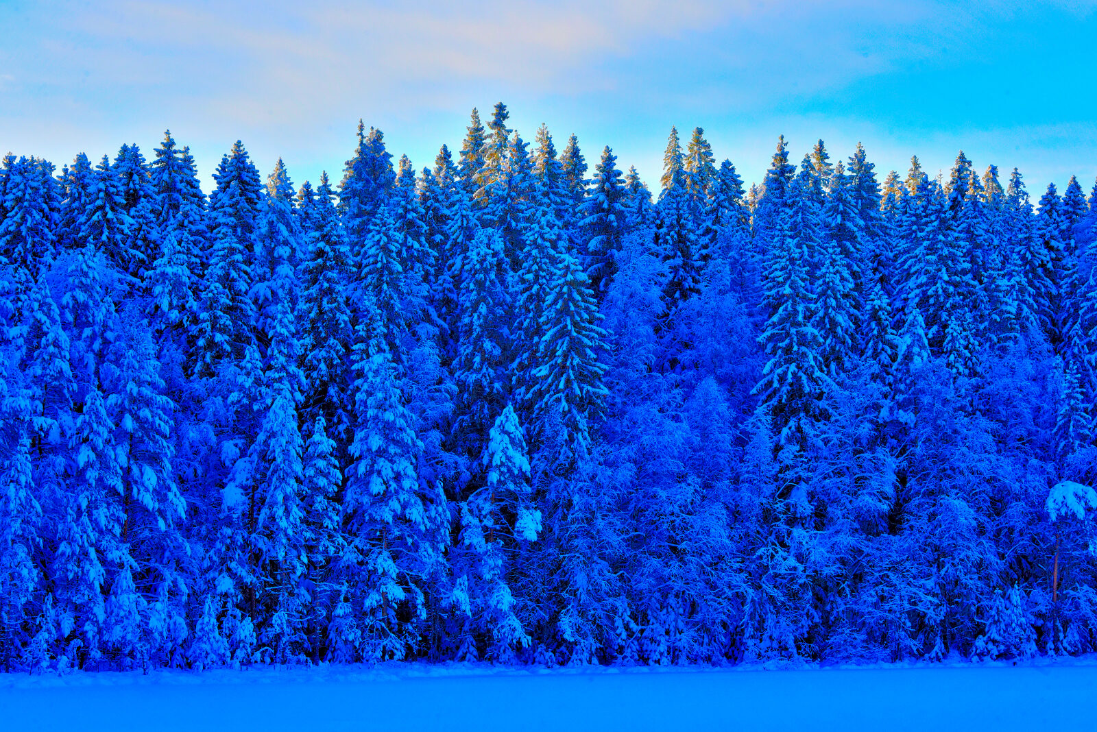 Valokuvaaja: Reijo Juurinen