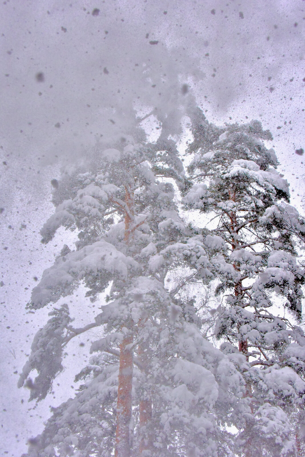Valokuvaaja: Reijo Juurinen Valokuvaaja: Reijo Juurinen