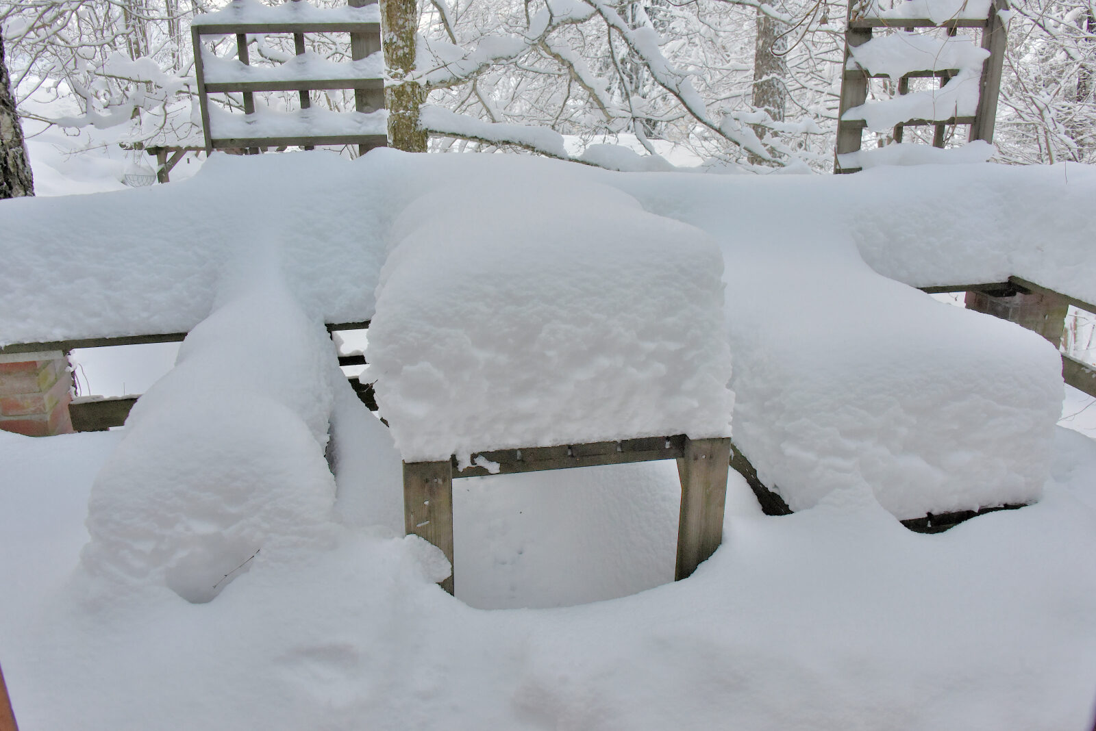 Valokuvaaja: Reijo Juurinen