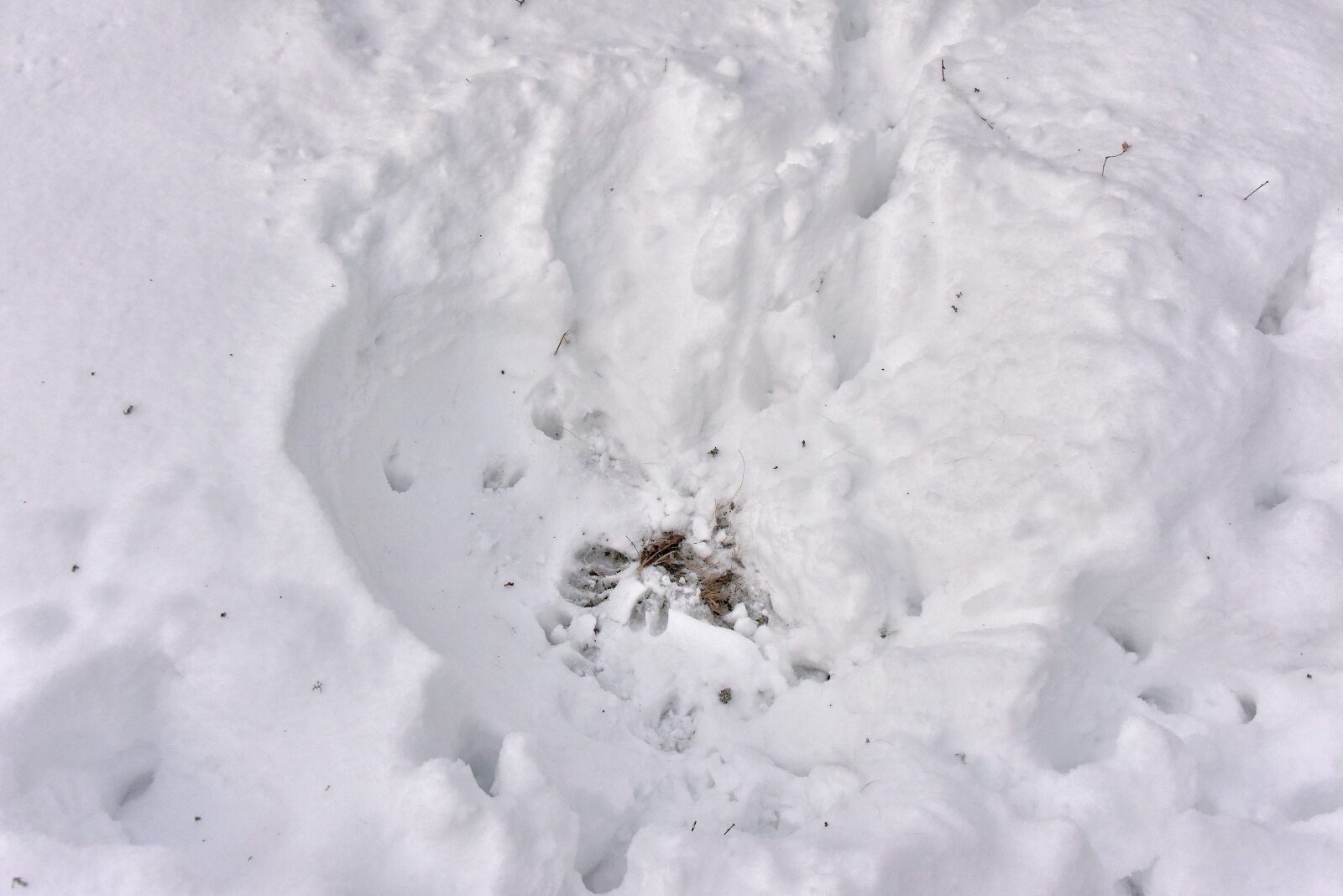 Valokuvaaja: Reijo Juurinen